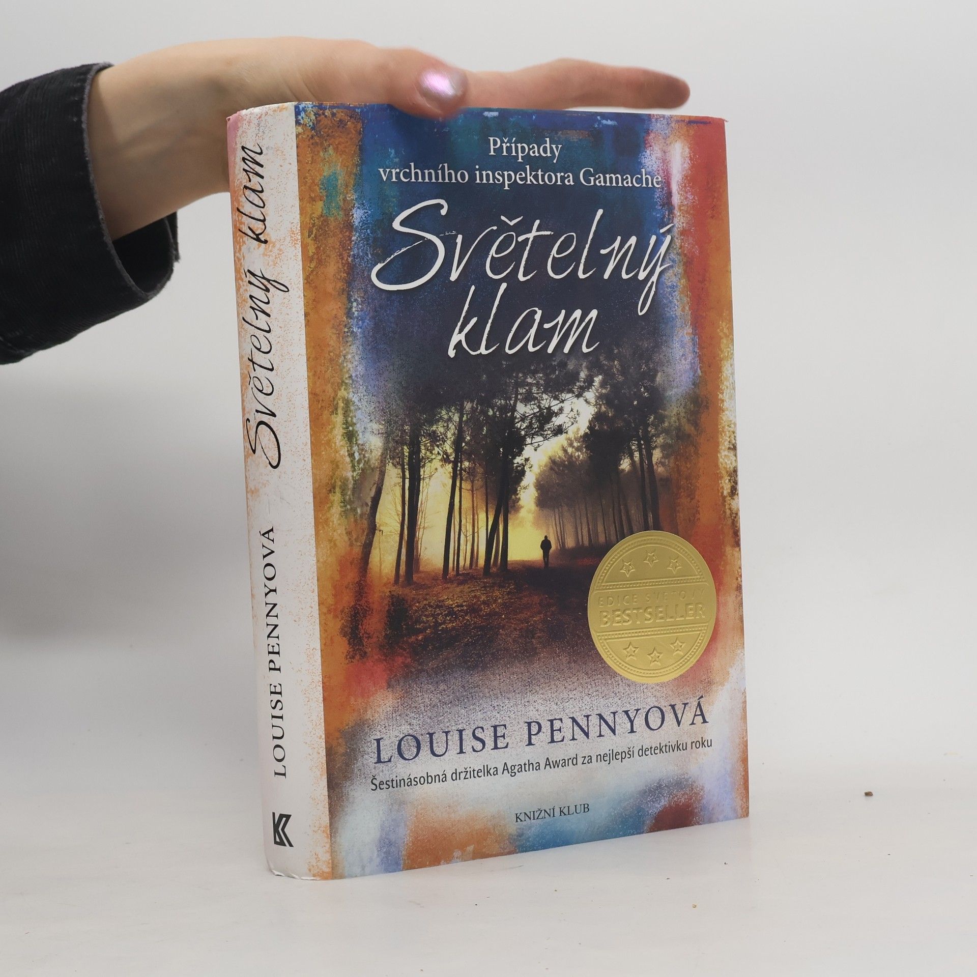 Louise Penny Světelný klam