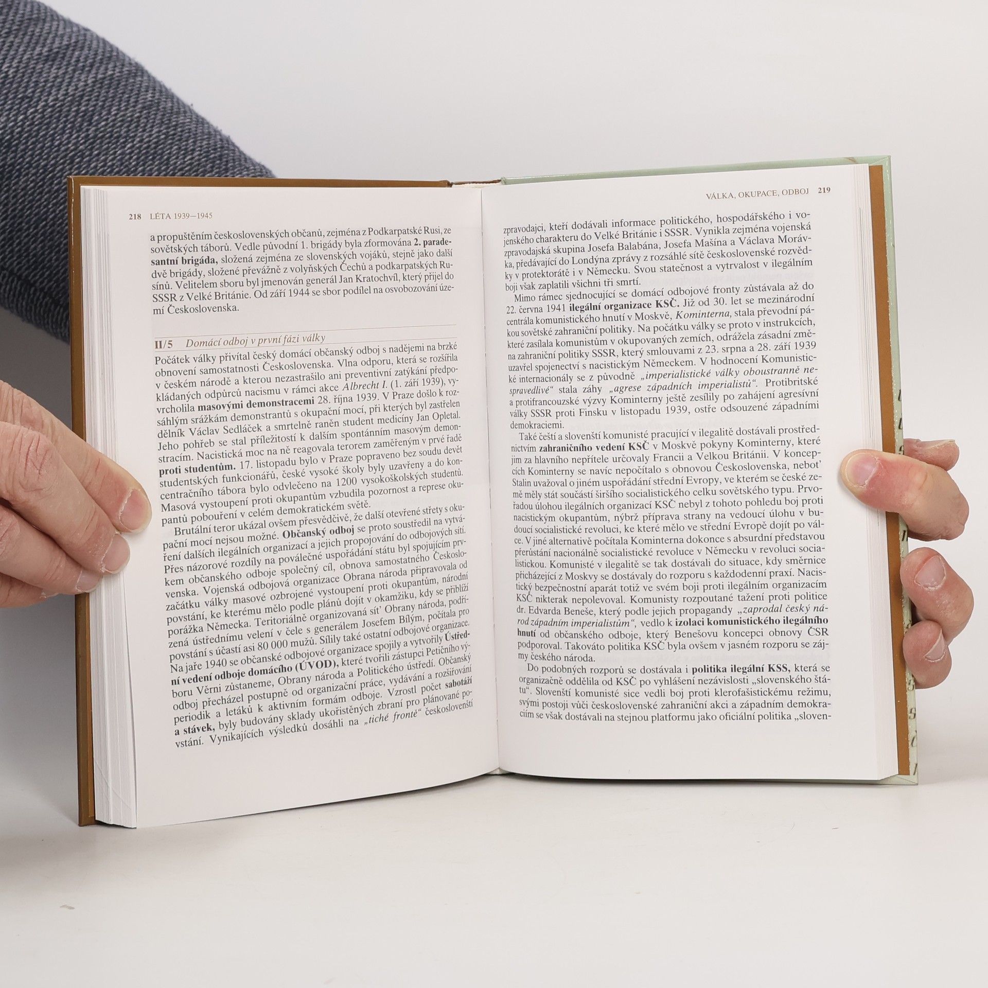 Autorenkollektiv Dějiny zemí Koruny české 2
