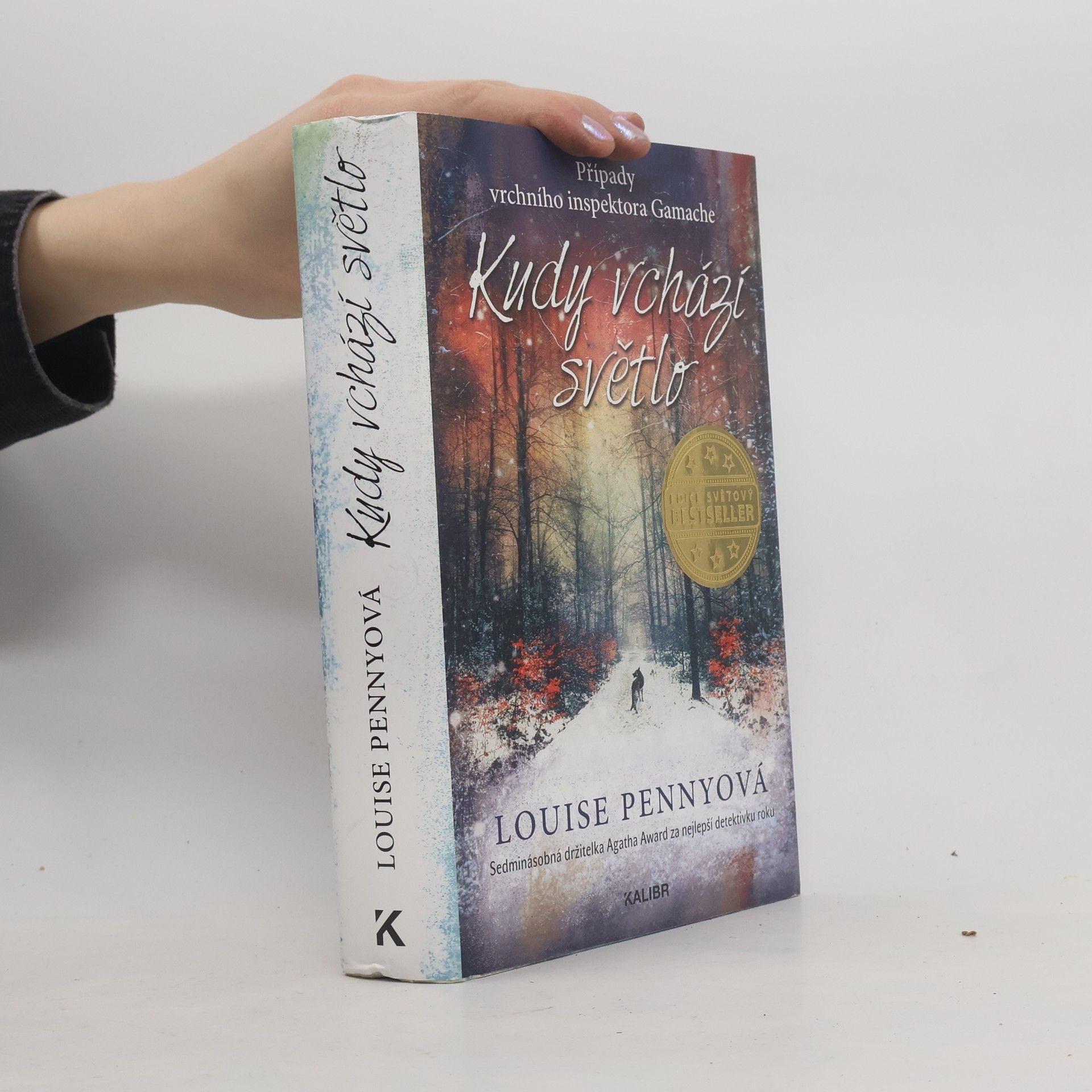 Louise Penny Kudy vchází světlo