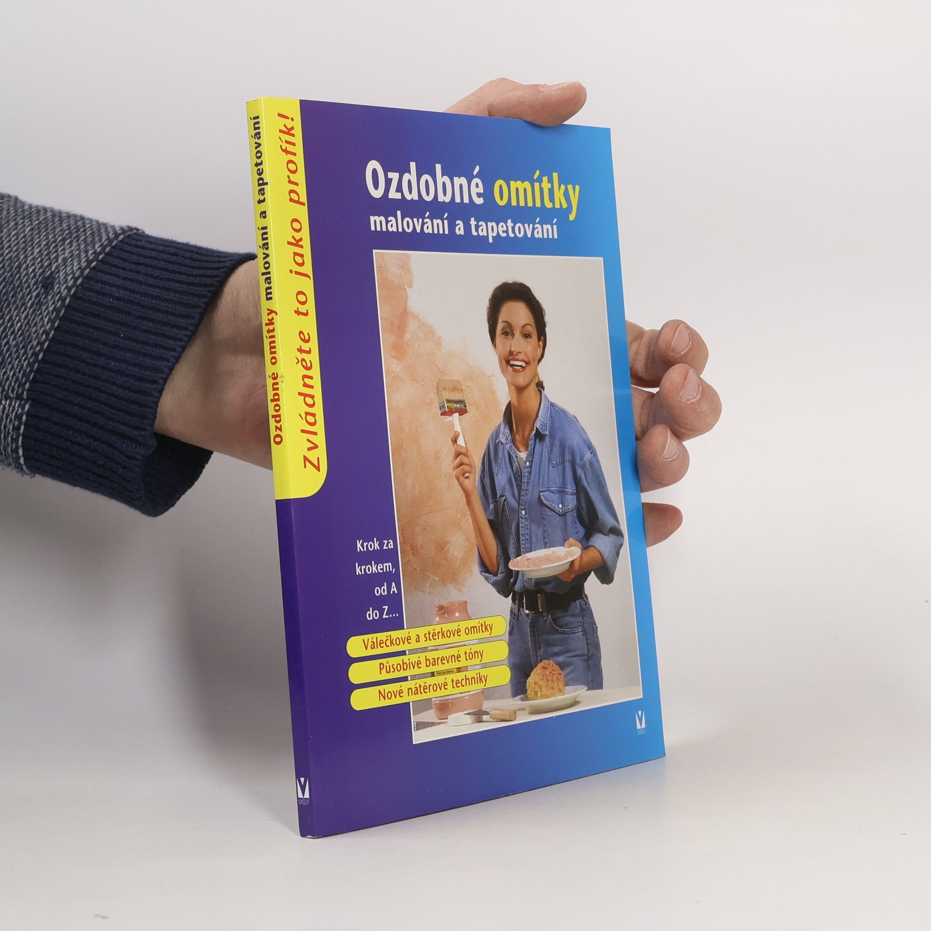 Autorenkollektiv Ozdobné omítky: Malování a tapetování Malování a tapetování