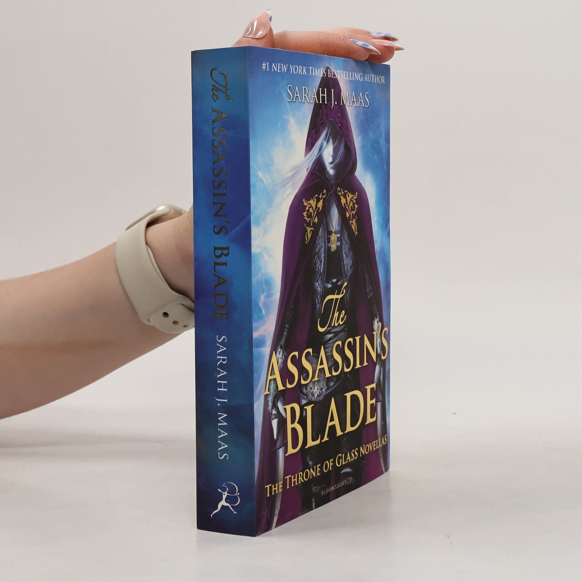 Sarah J. Maasová The Assassin's Blade
