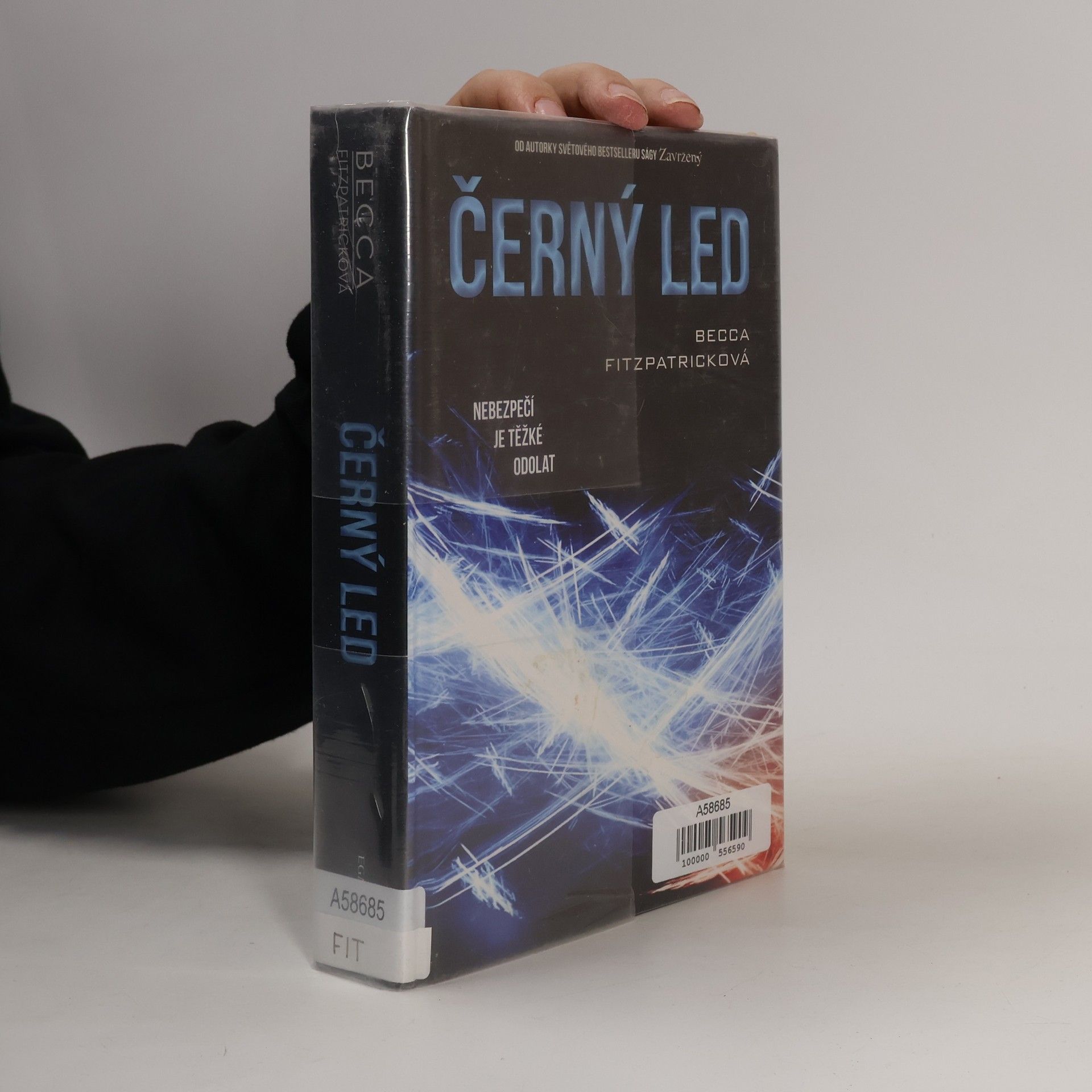 Becca Fitzpatrick Černý led