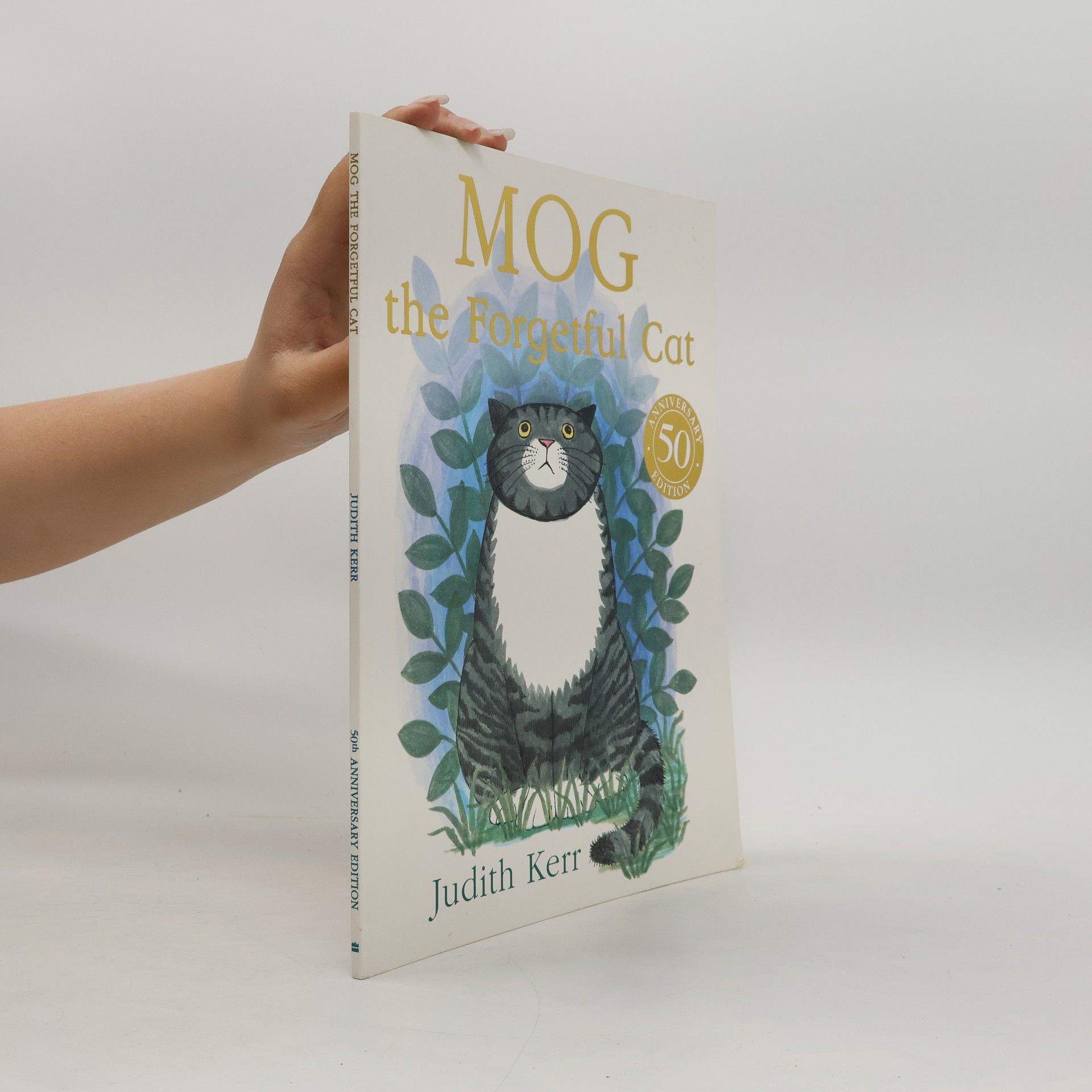 Mog the Forgetful Cat