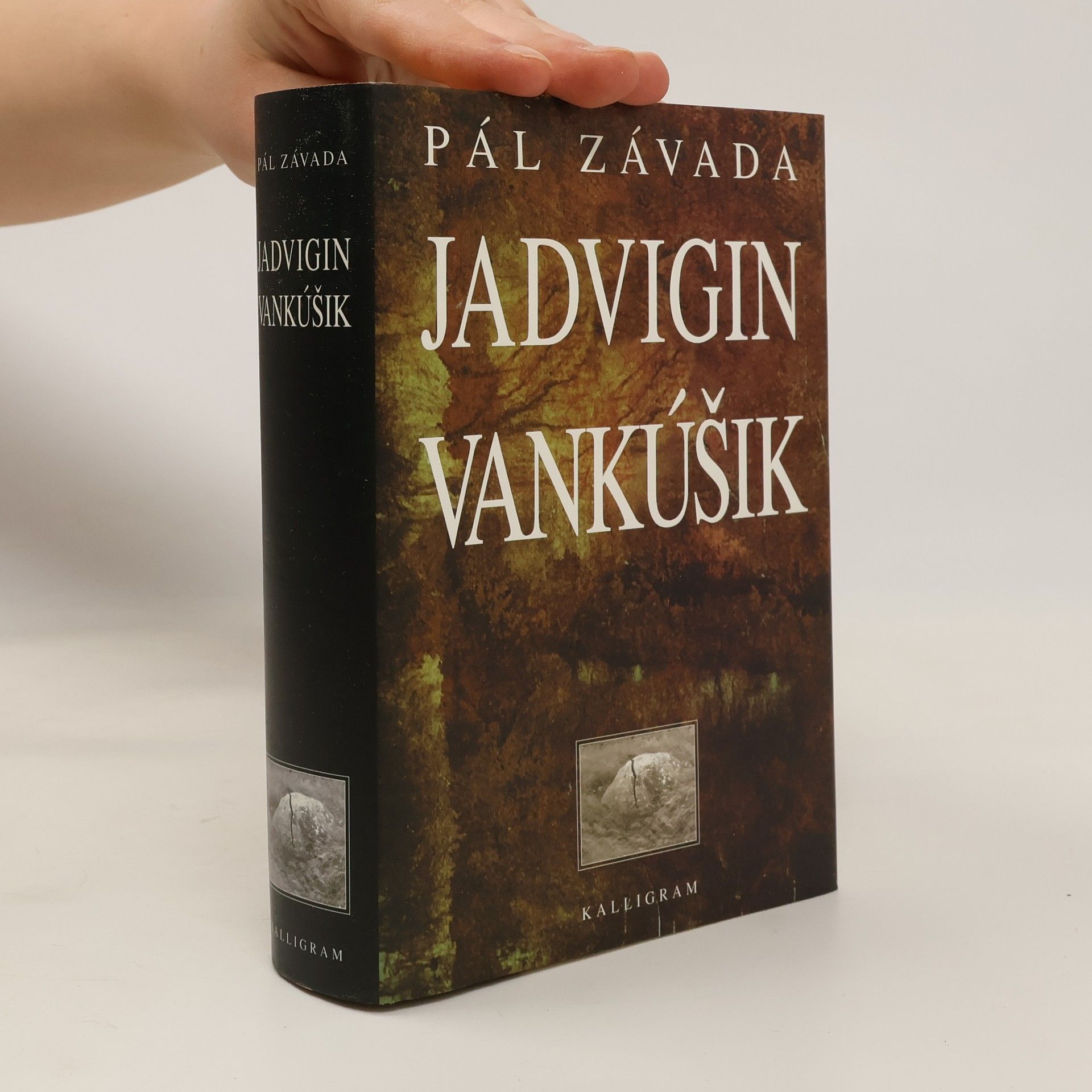Pál Závada Jadvigin vankúšik