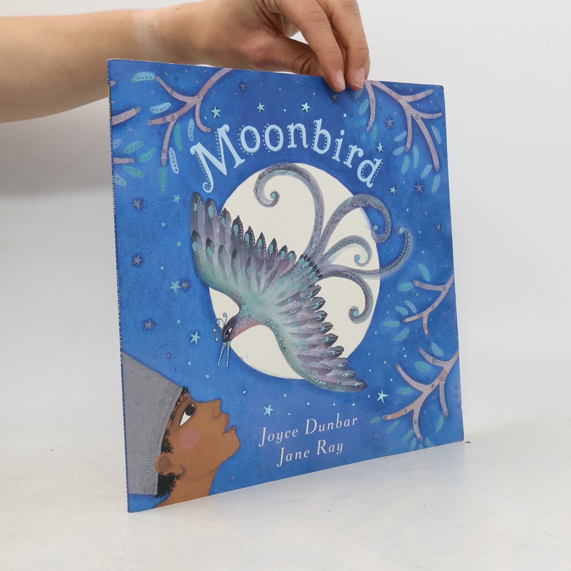 Jane Ray Moonbird