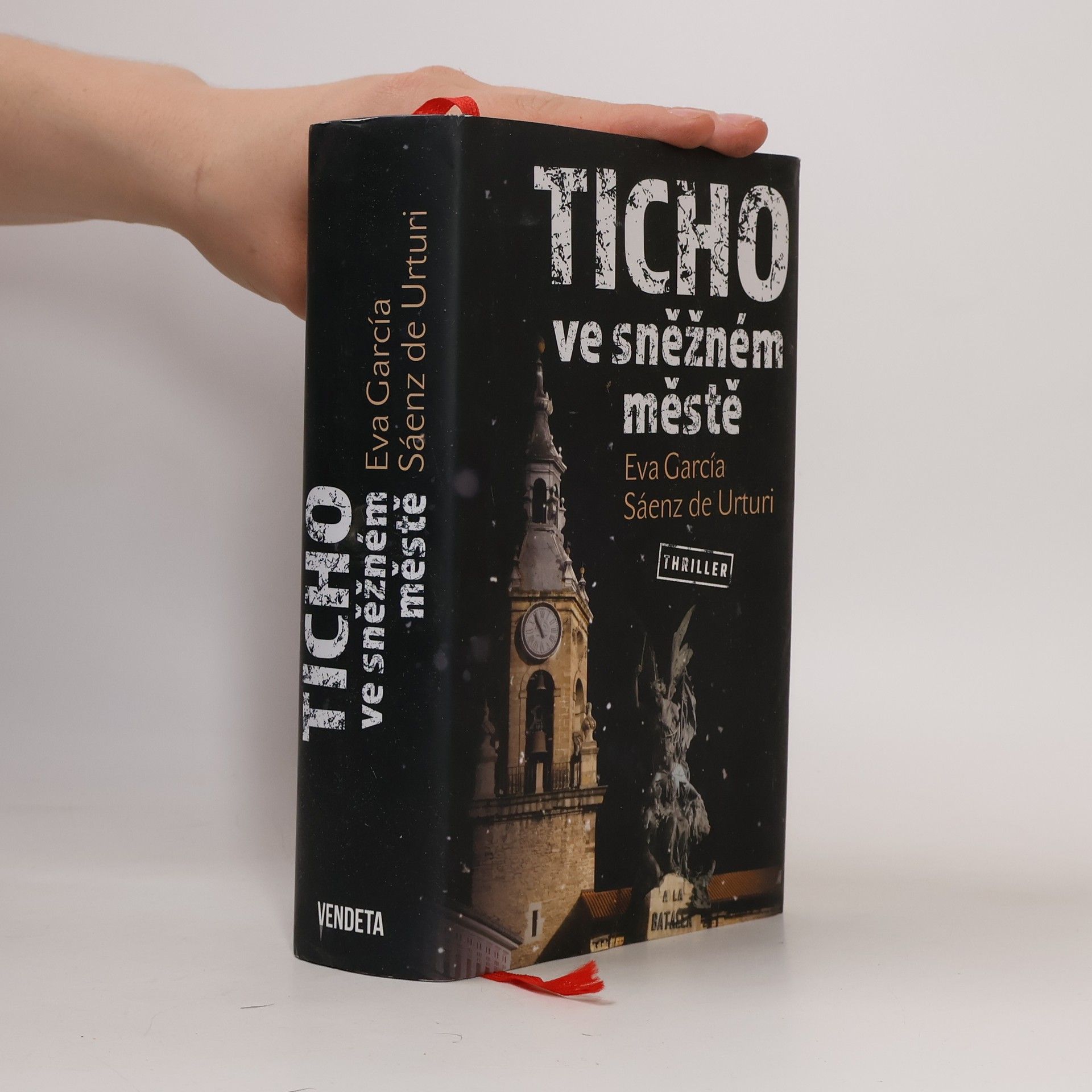 Eva García Sáenz de Urturi Ticho ve sněžném městě