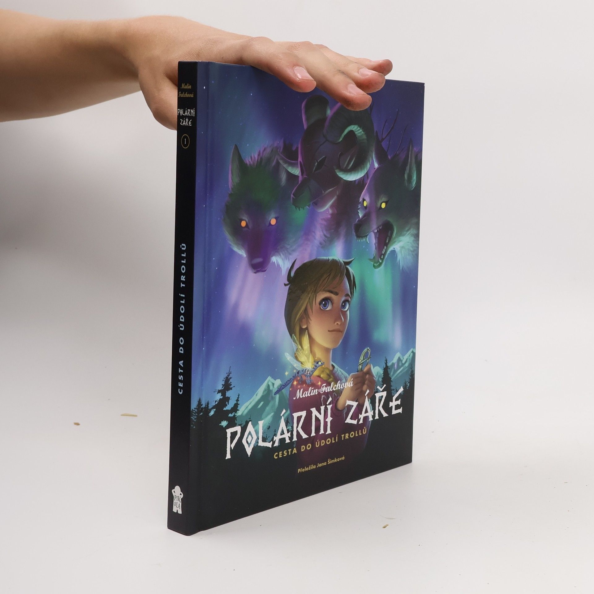 Malin Falch Polární záře. Cesta do Údolí trollů
