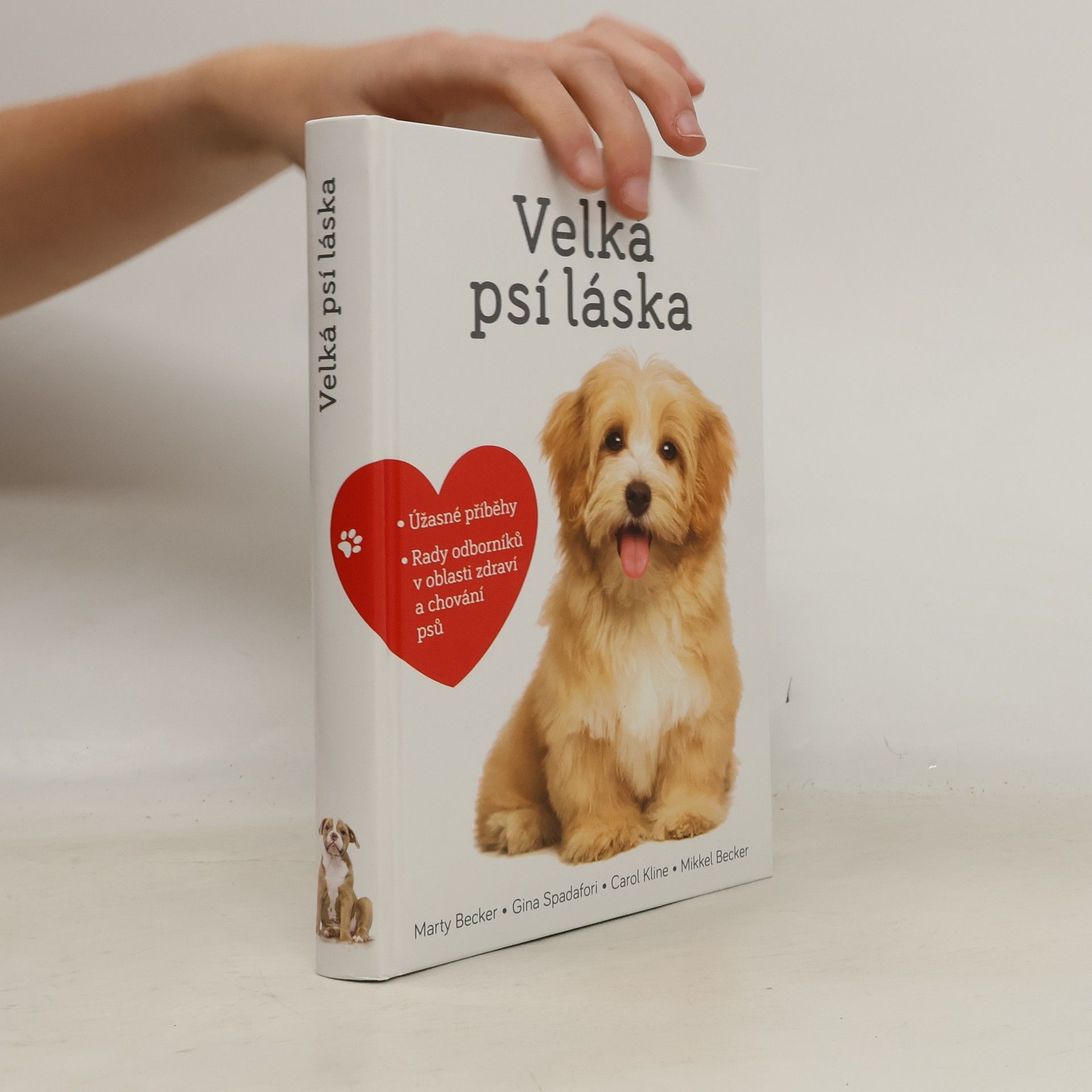 Velká psí láska: Příběhy, rady a úžasné fotografie psích bytostí