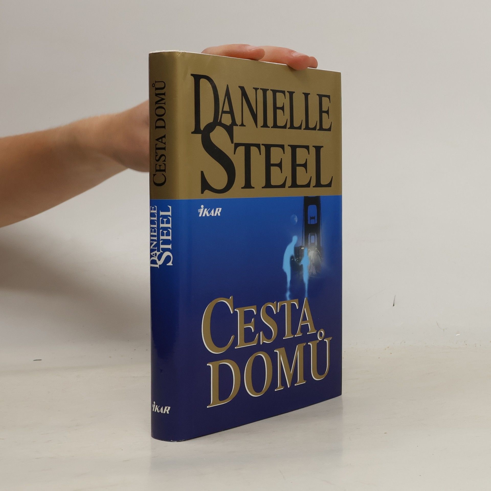 Danielle Steel Cesta domů