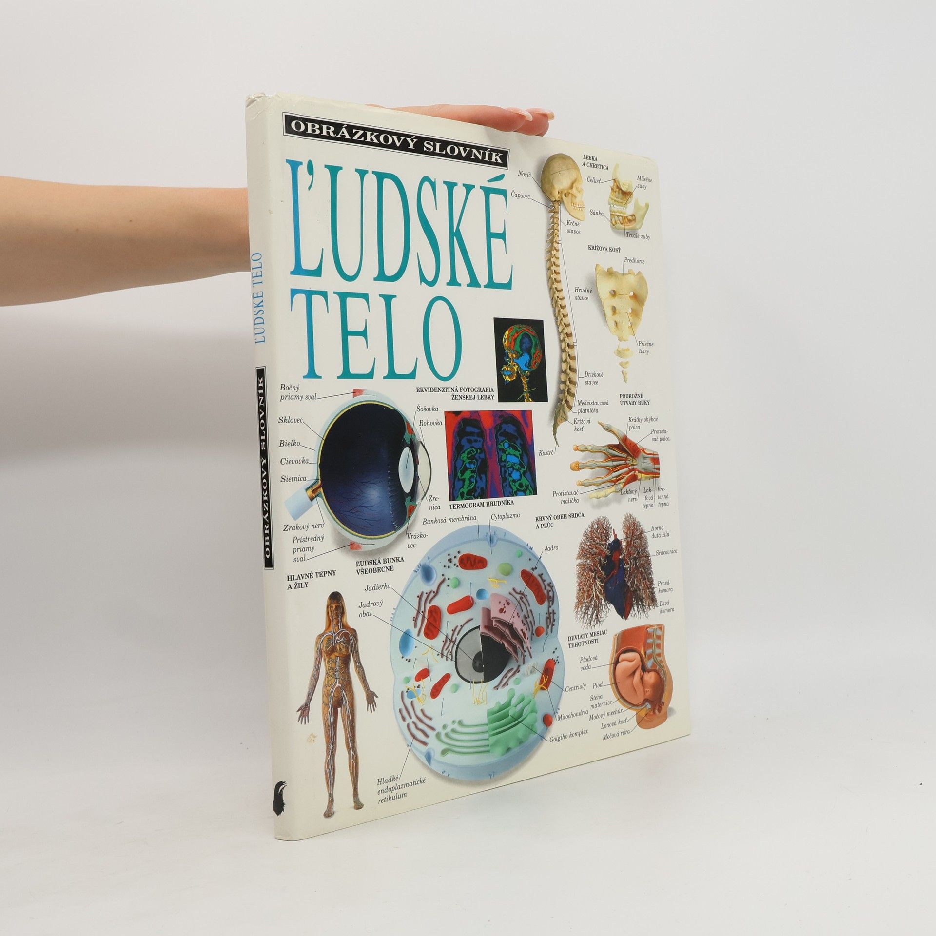 Kolektiv autorů ľudské telo