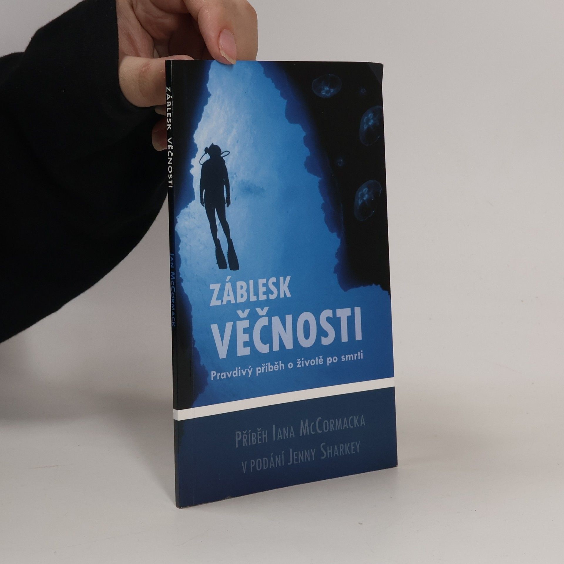 Ian McCormack Záblesk věčnosti : pravdivý příběh o životě po smrti