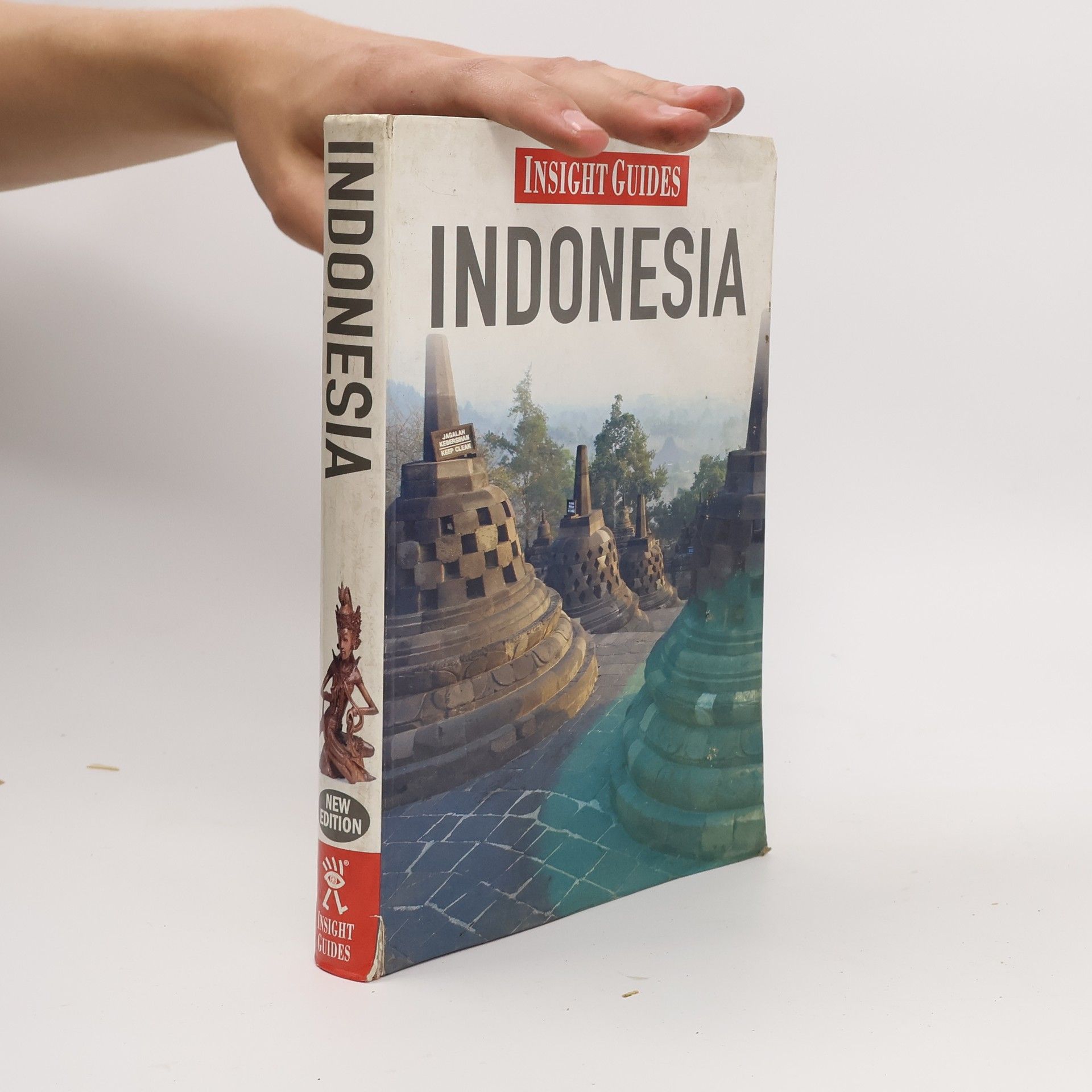 Francis Dorai Insight Guides Indonesia