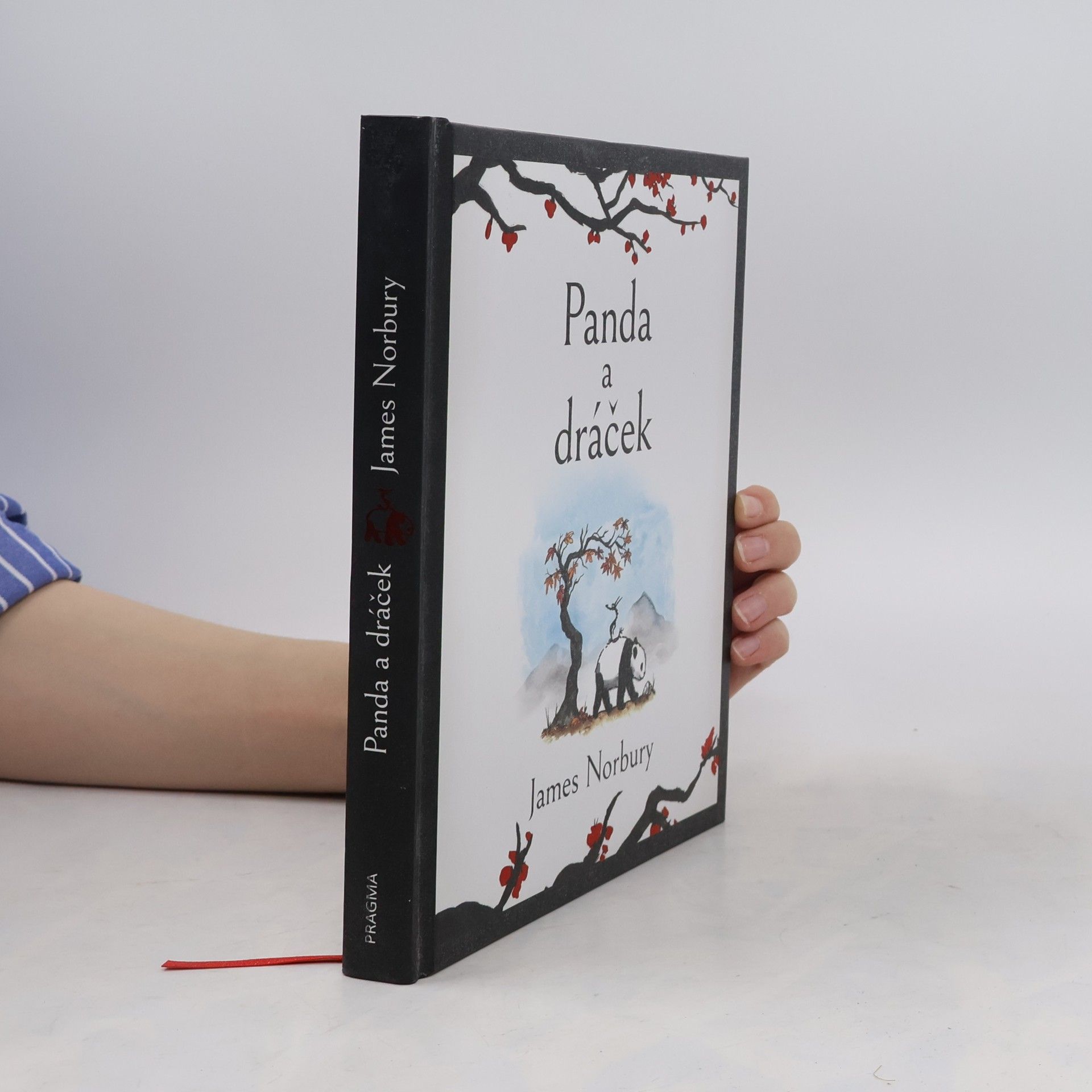 James Norbury Panda a dráček