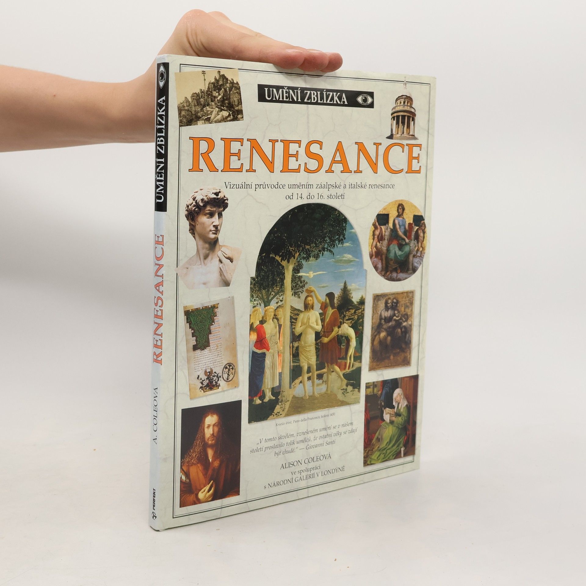 Alison Cole Renesance
