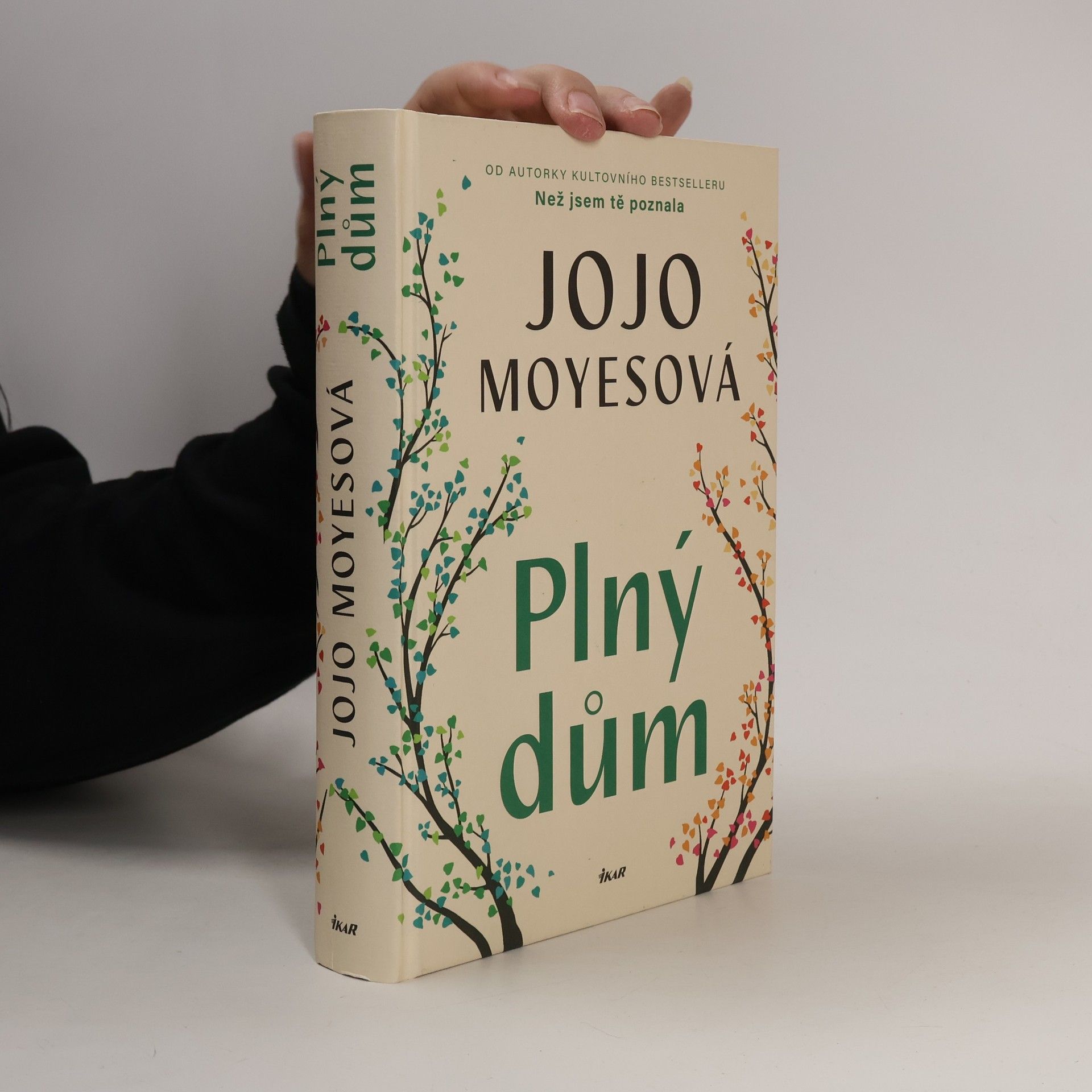 Plný dům