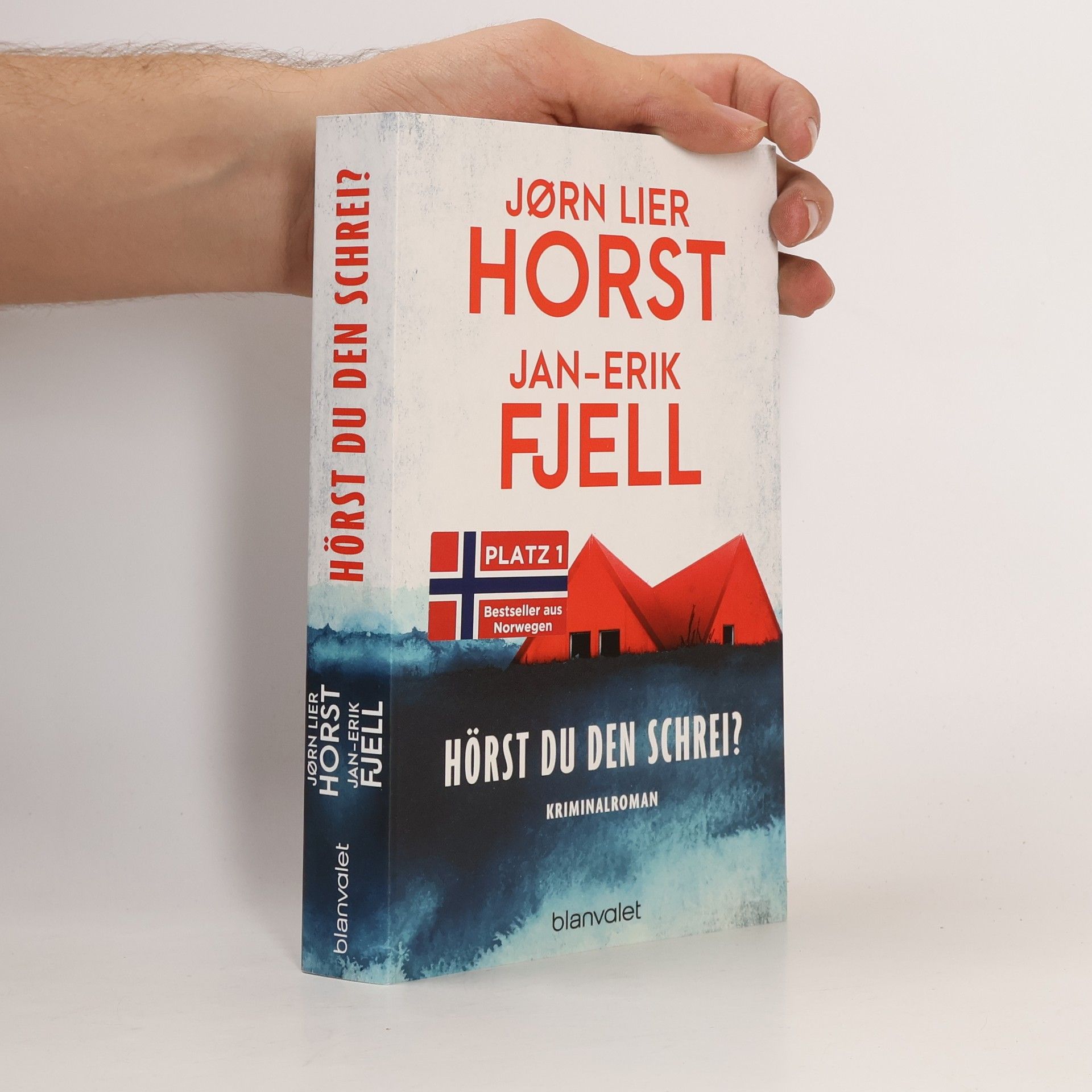 Jan-Erik Fjell Hörst du den Schrei?