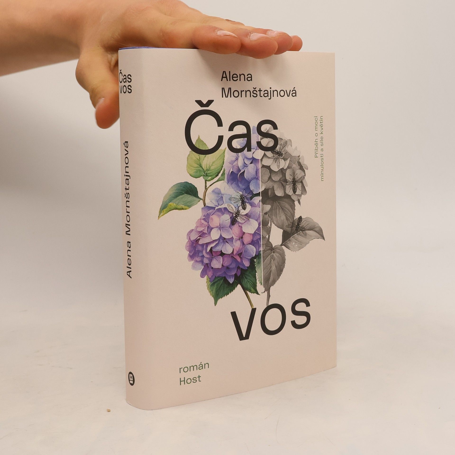 Alena Mornštajnová Čas vos