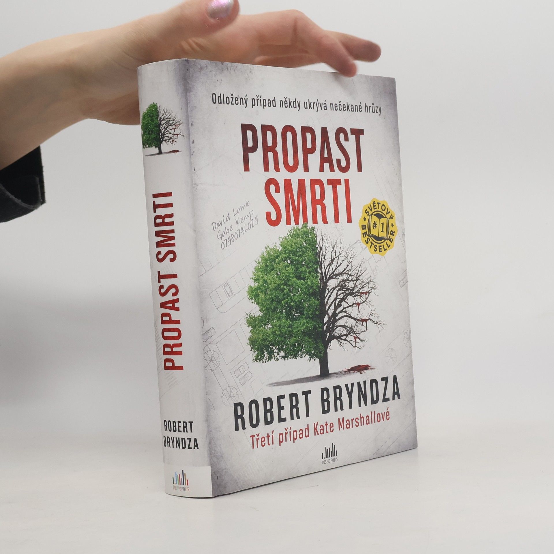 Robert Bryndza Propast smrti