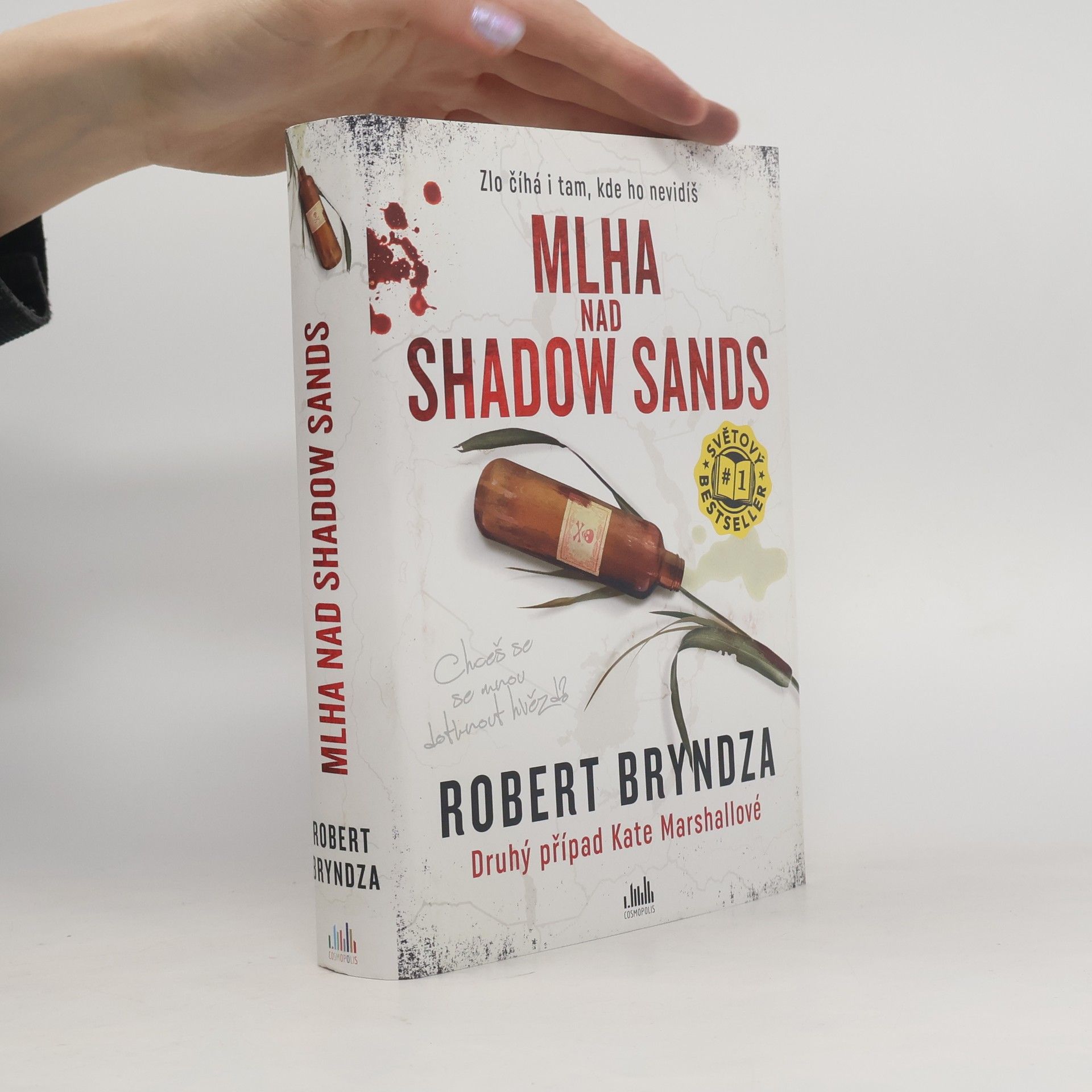 Robert Bryndza Mlha nad Shadow Sands