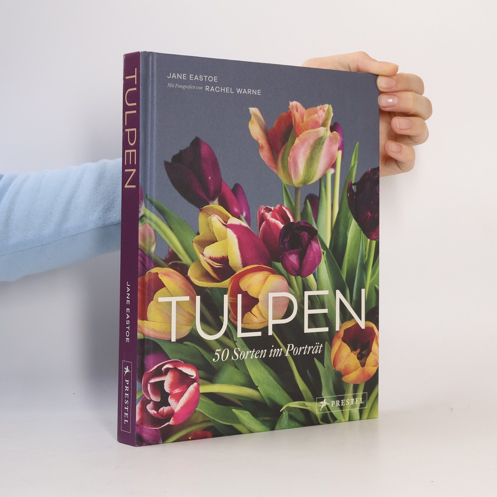 Jane Eastoe Tulpen