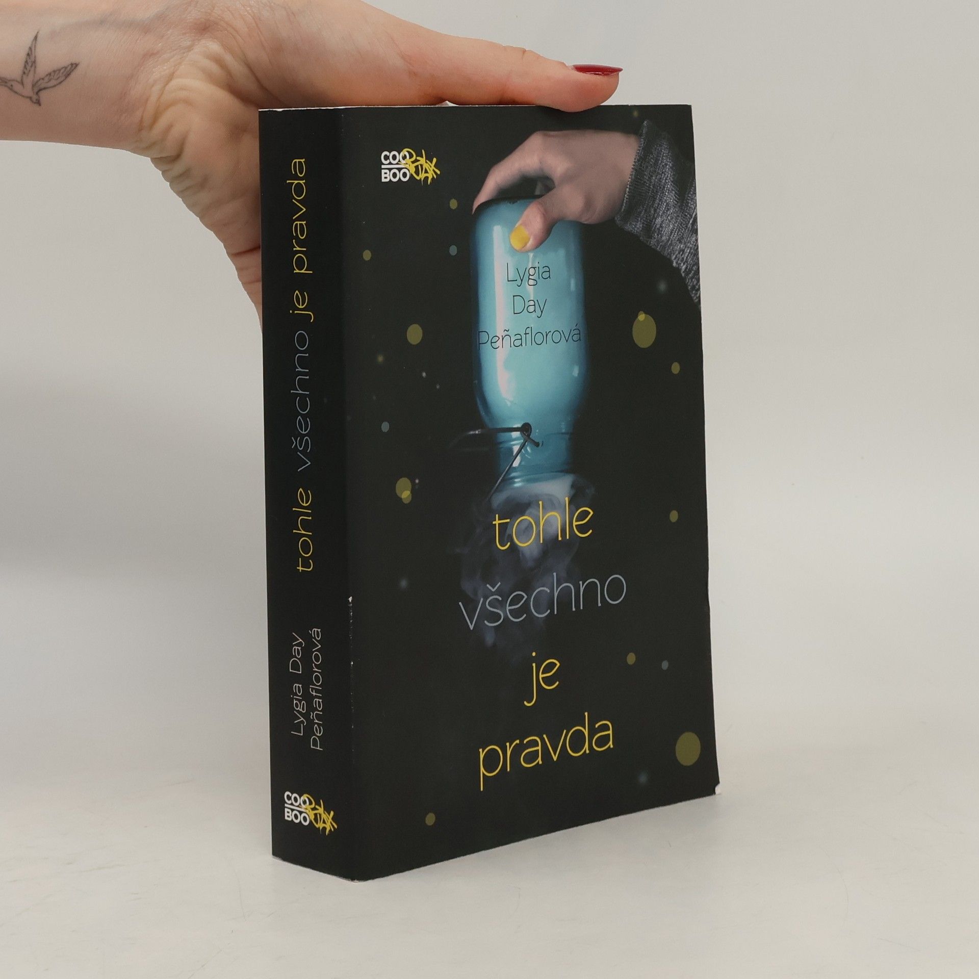 Lygia Day Peñaflor Tohle všechno je pravda