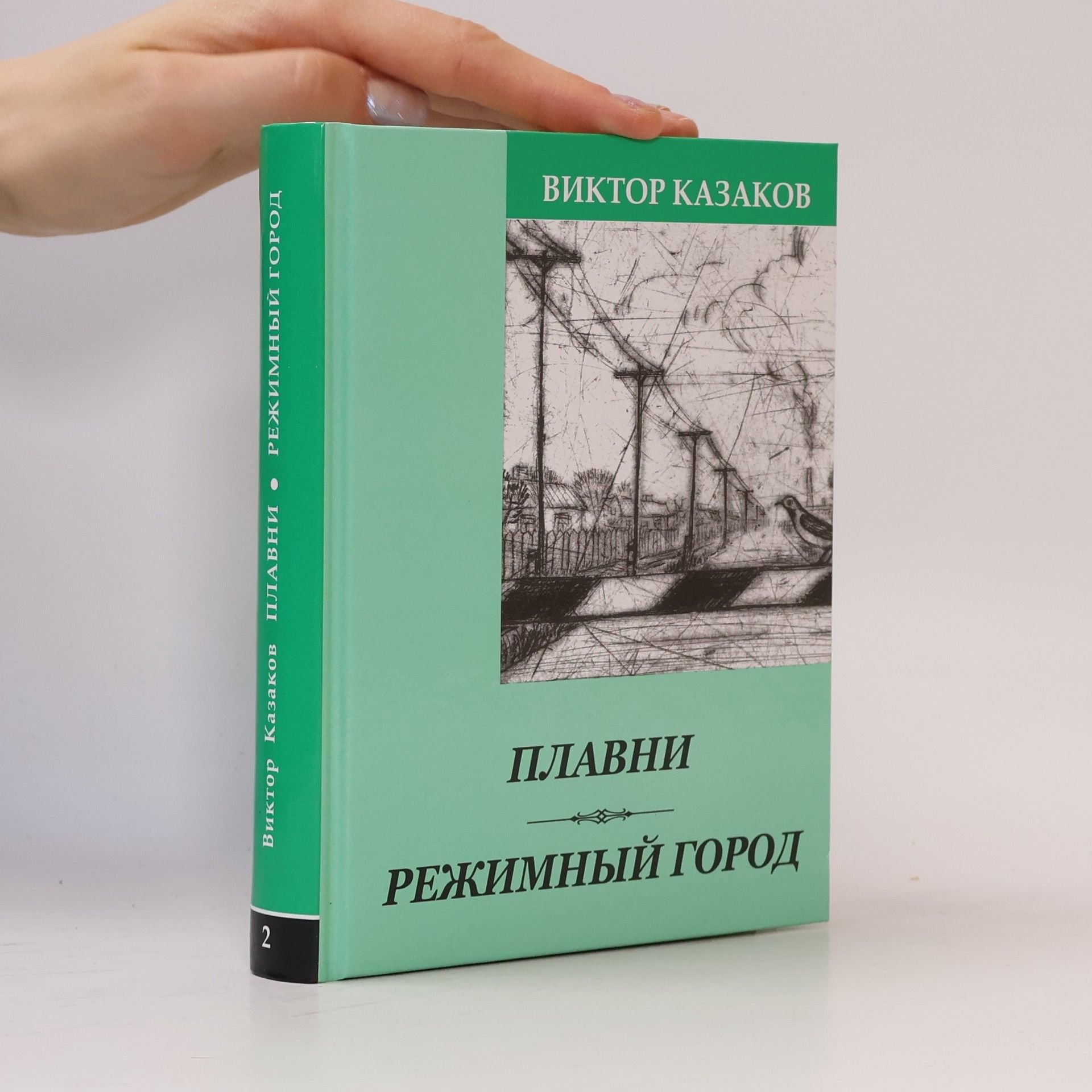Виктор Казаков Плавни