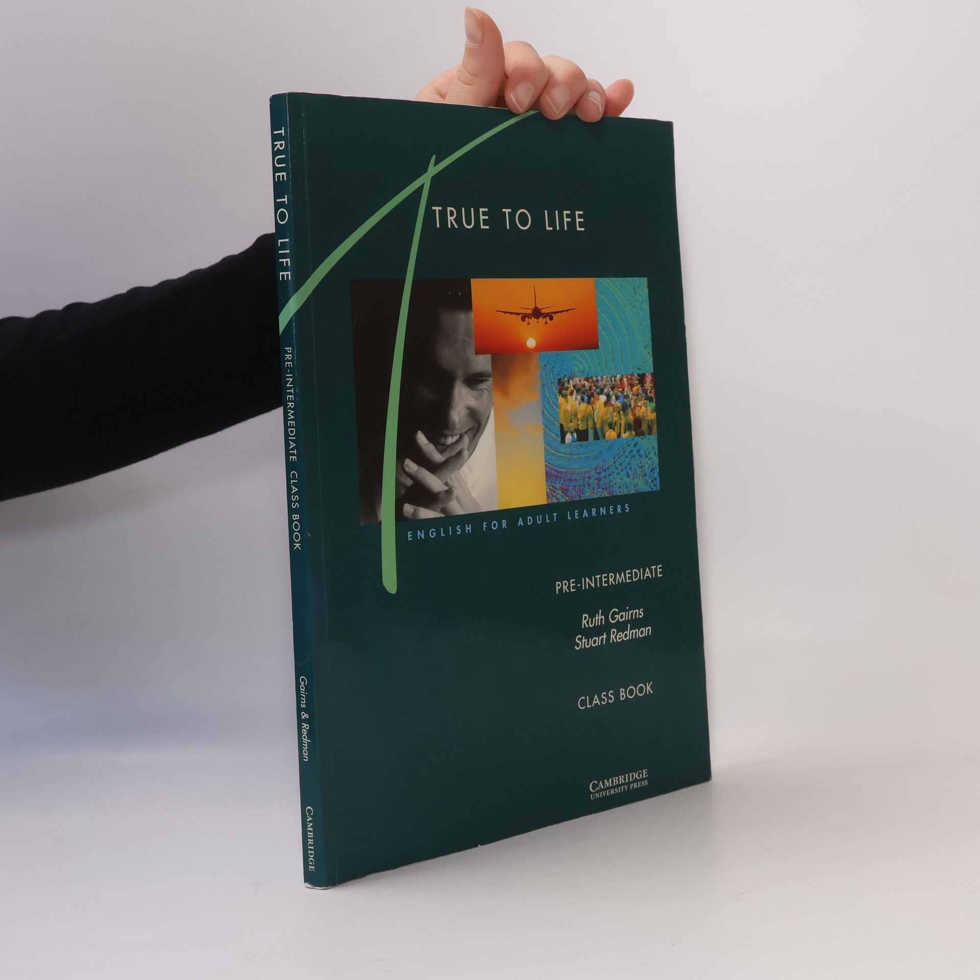 Stuart Redman True to life: pre-intermediate: class book