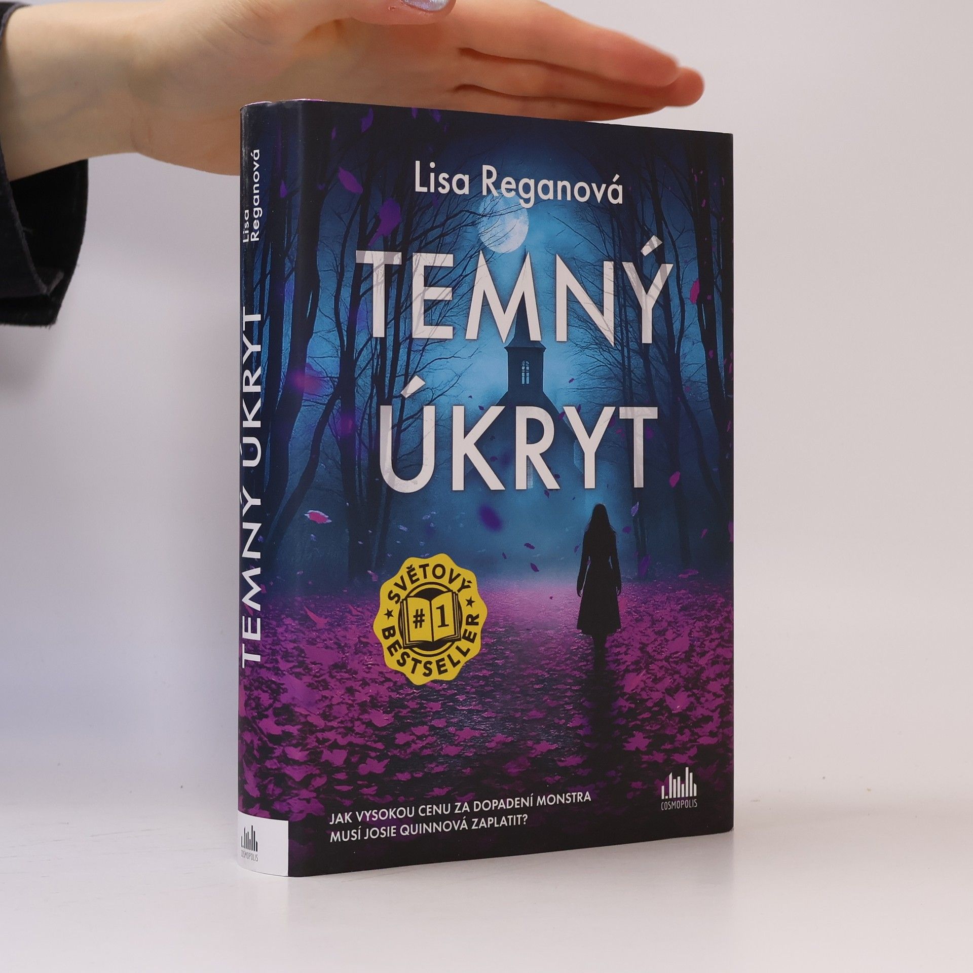 Lisa Regan Temný úkryt