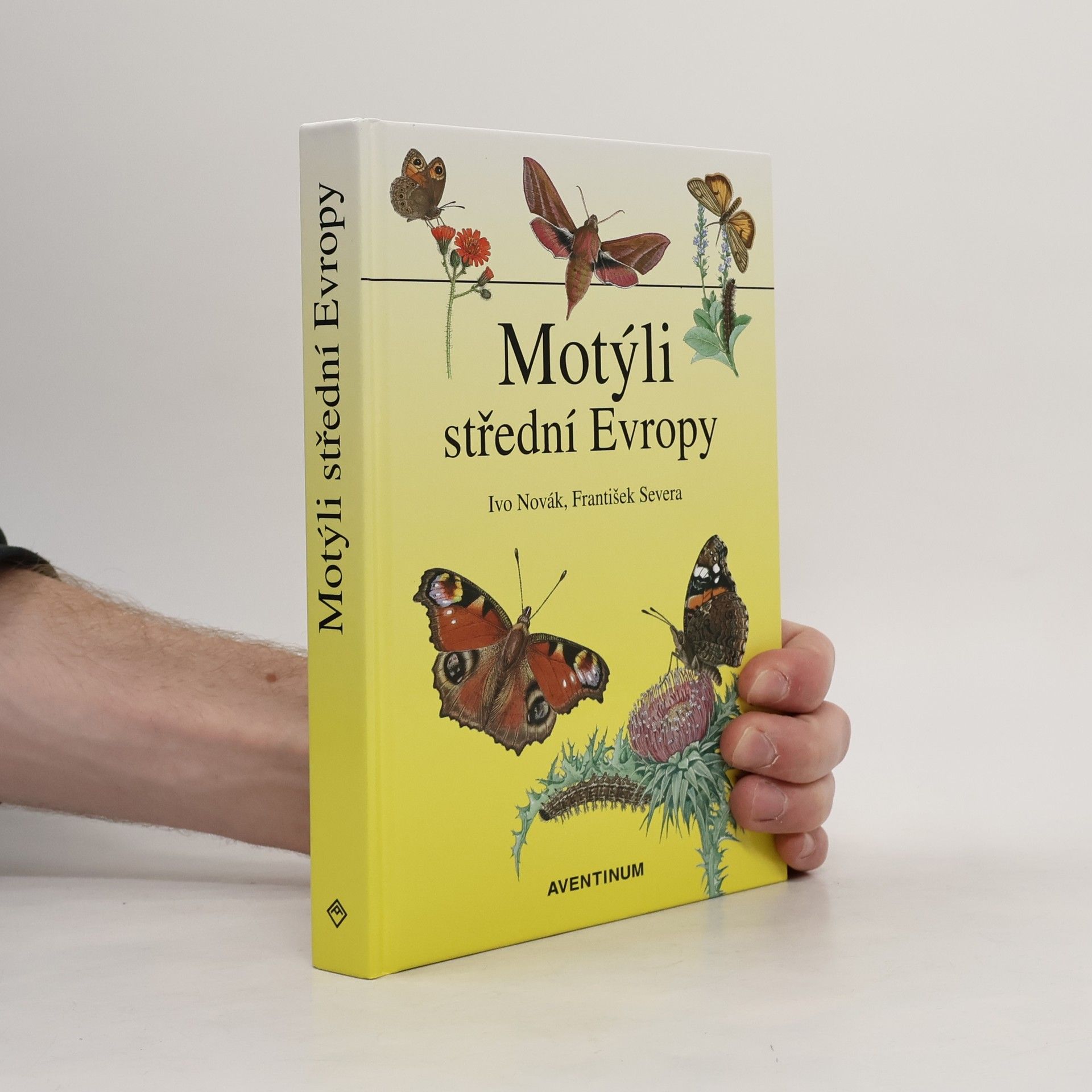 Ivo Novák Motýli střední Evropy