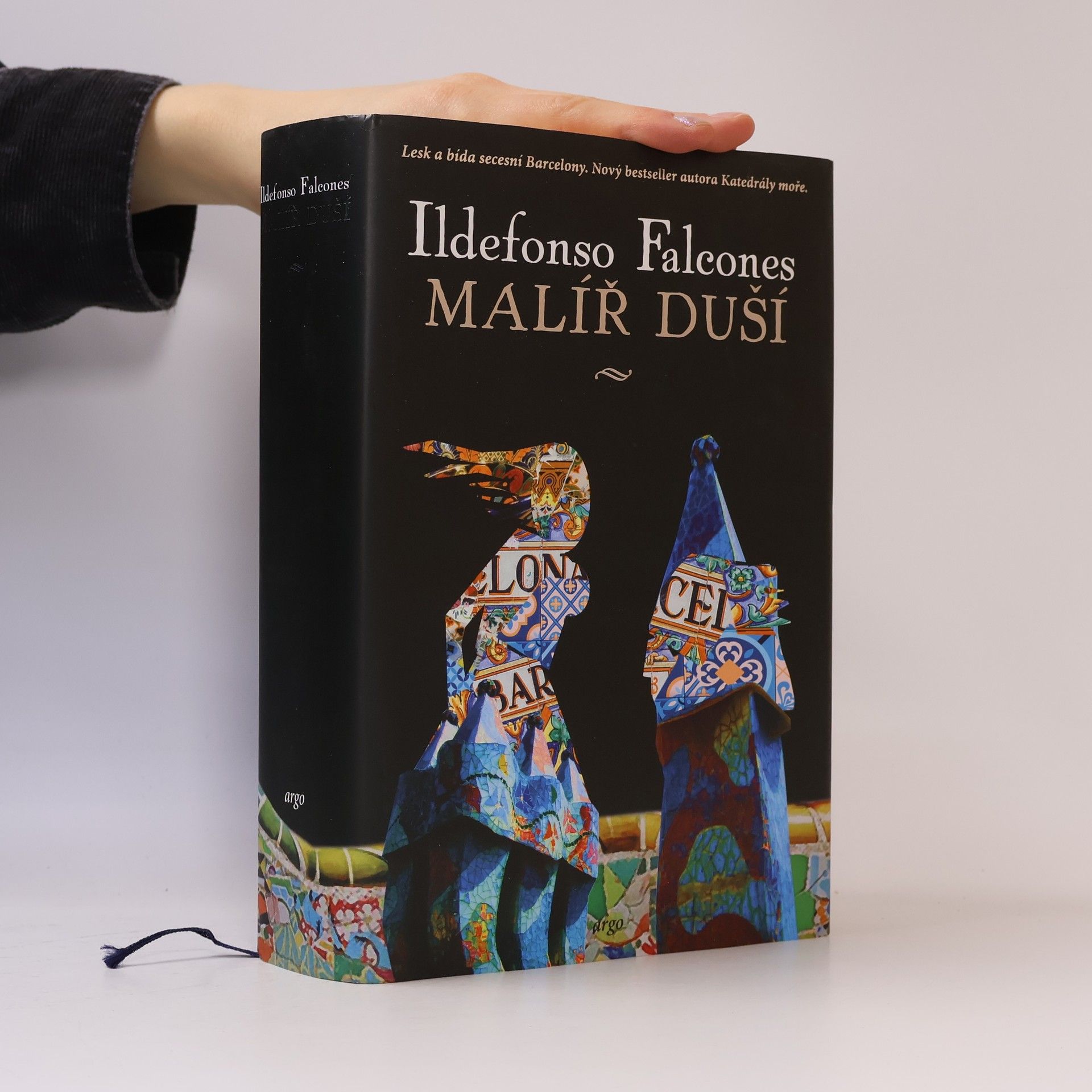 Ildefonso Falcones Malíř duší