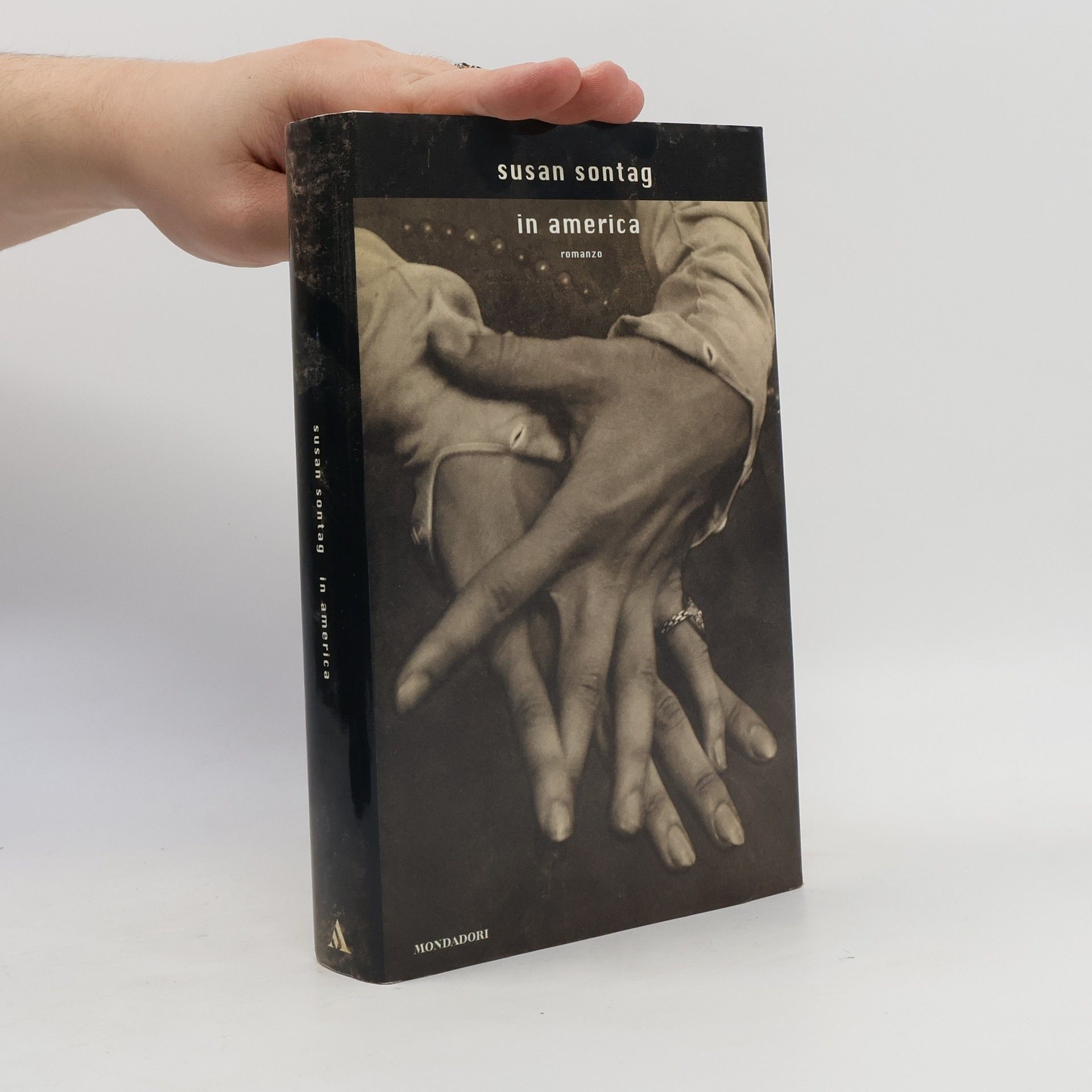 Susan Sontag In America