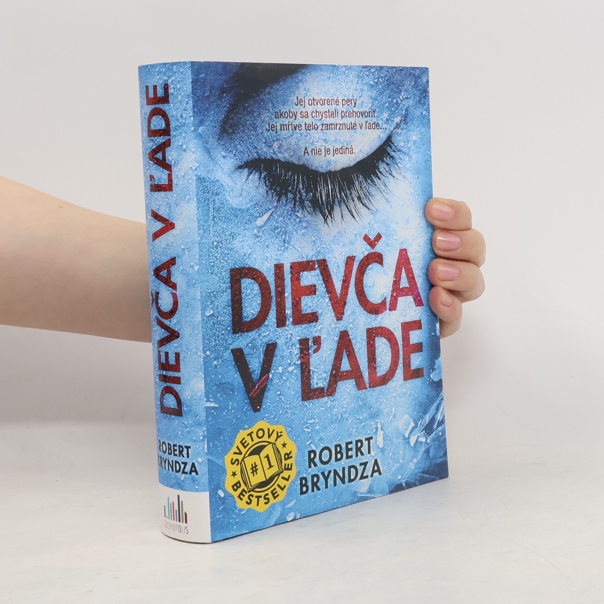 Robert Bryndza Dievča v ľade