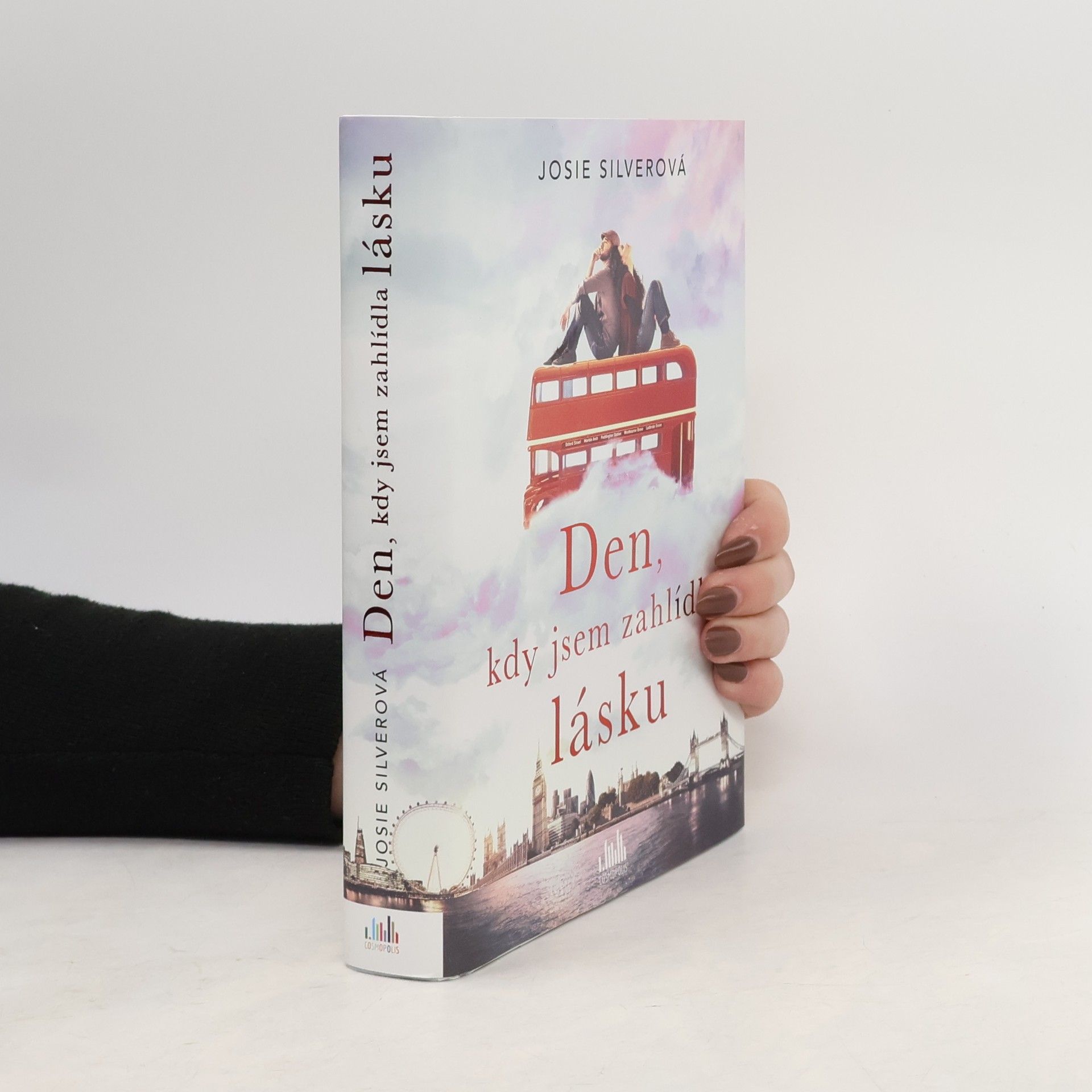 Josie Silver Den, kdy jsem zahlídla lásku