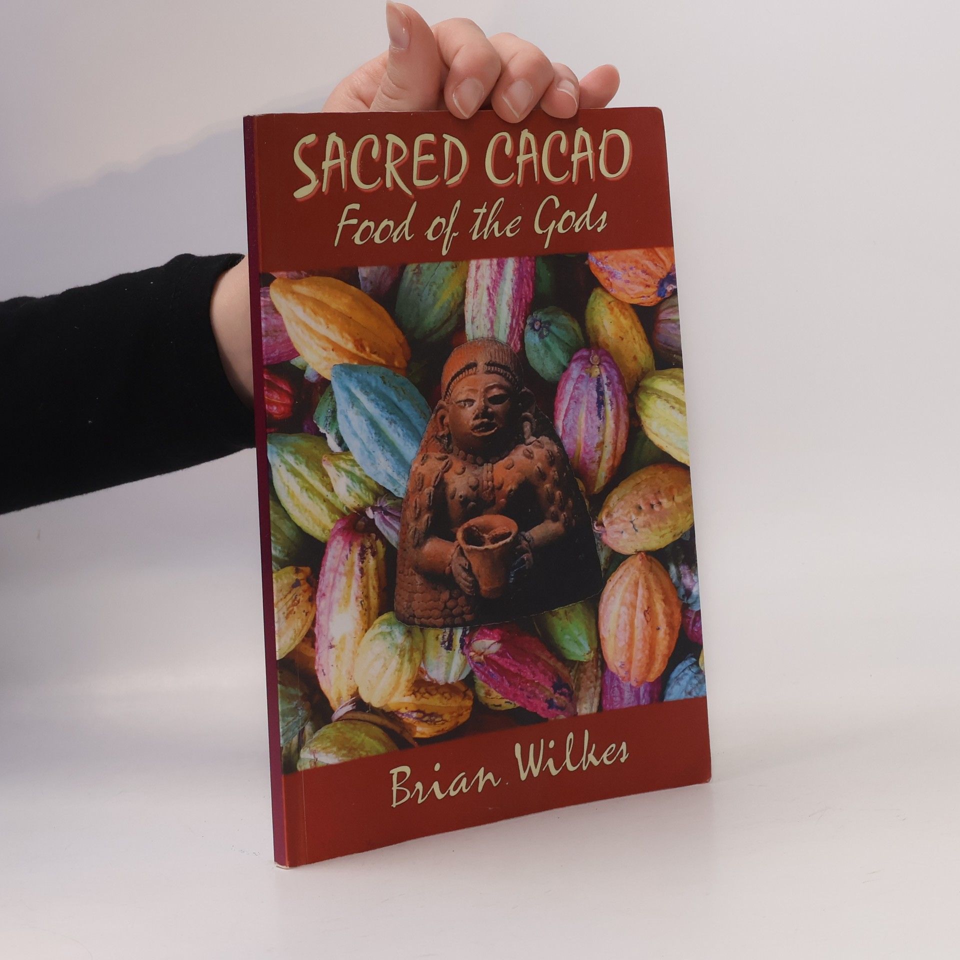 Brian Wilkes Sacred Cacao