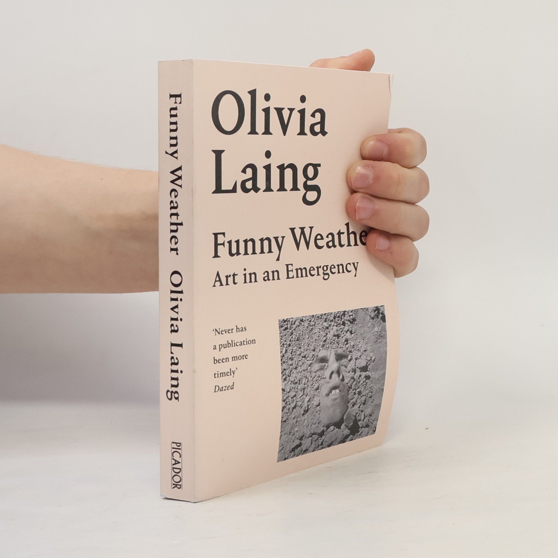 Olivia Laing Funny Weather