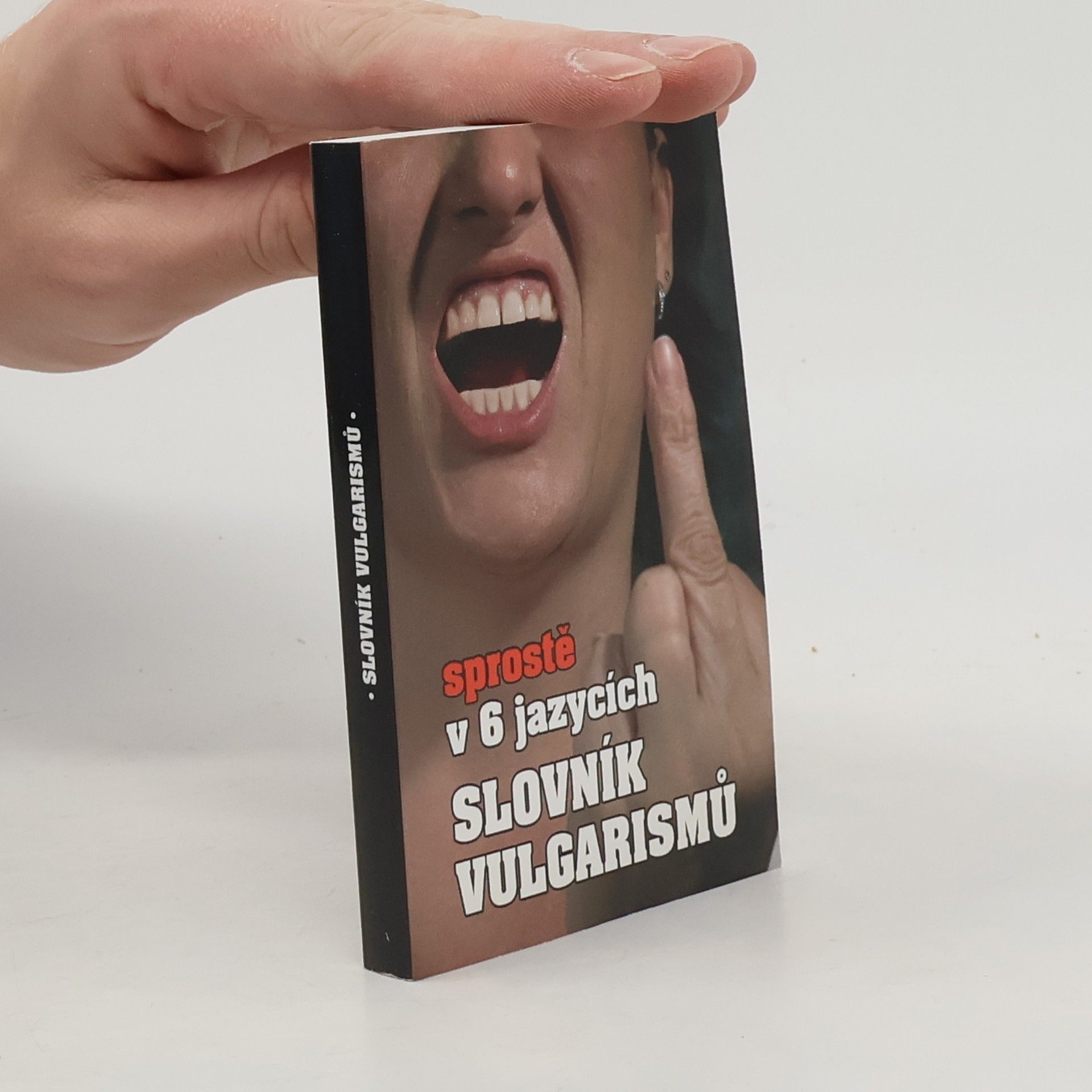 Kryštof Bajger Slovník vulgarismů : sprostě v 6 jazycích