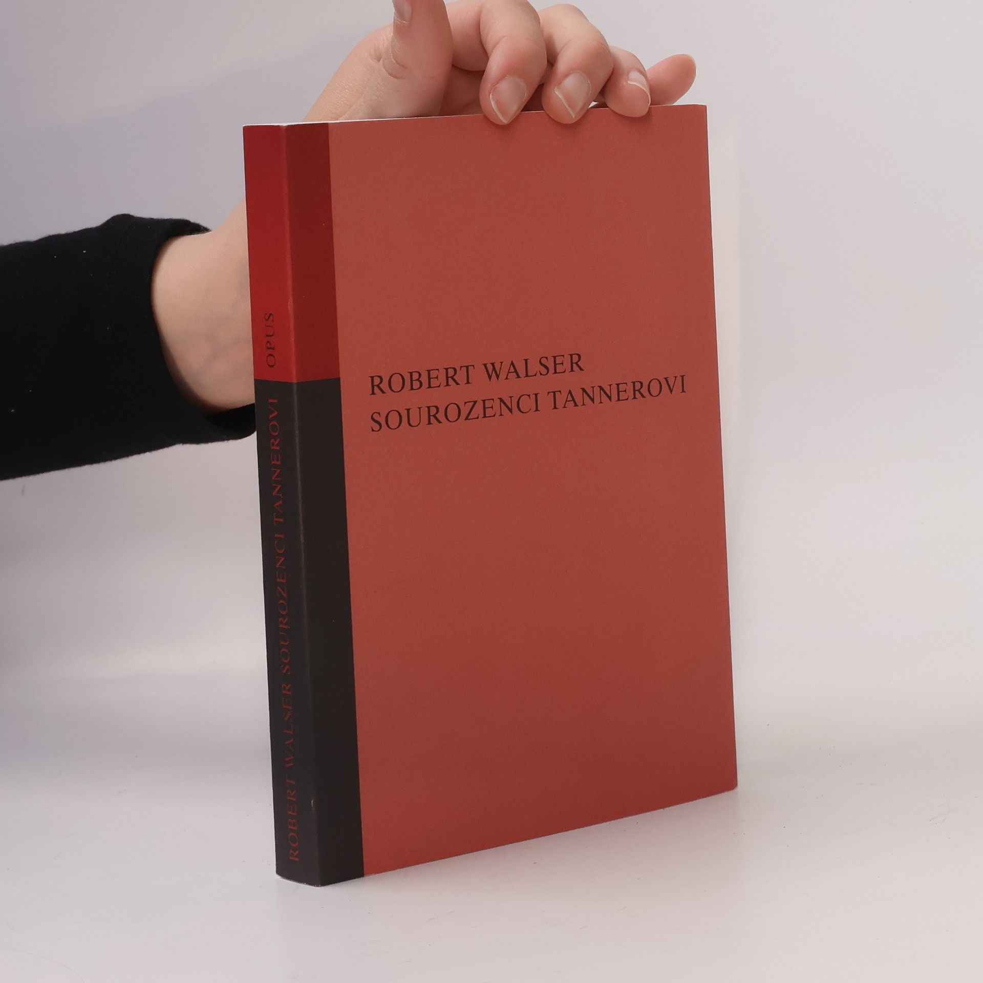 Robert Walser Sourozenci Tannerovi