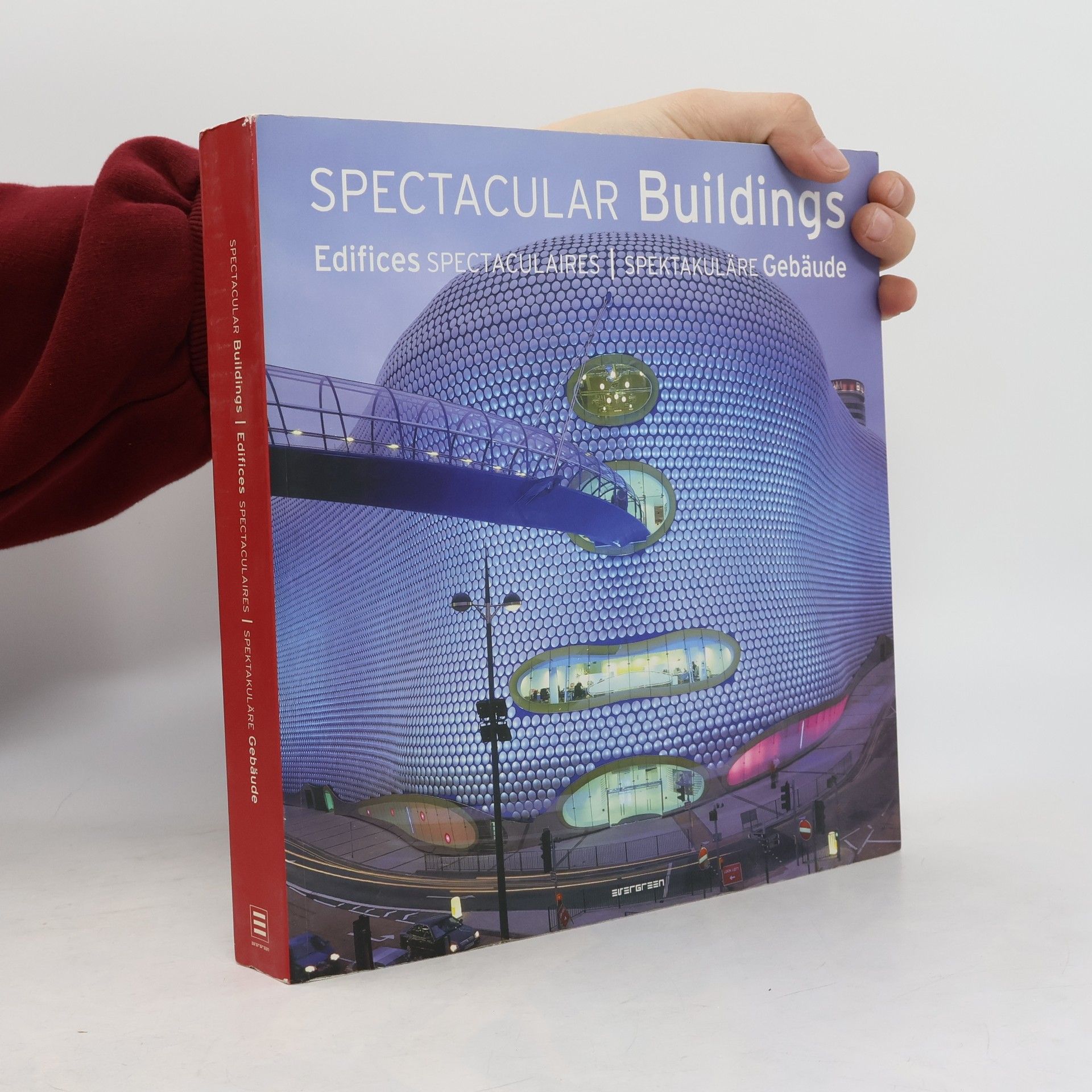 Simone Schleifer Spectacular buildings