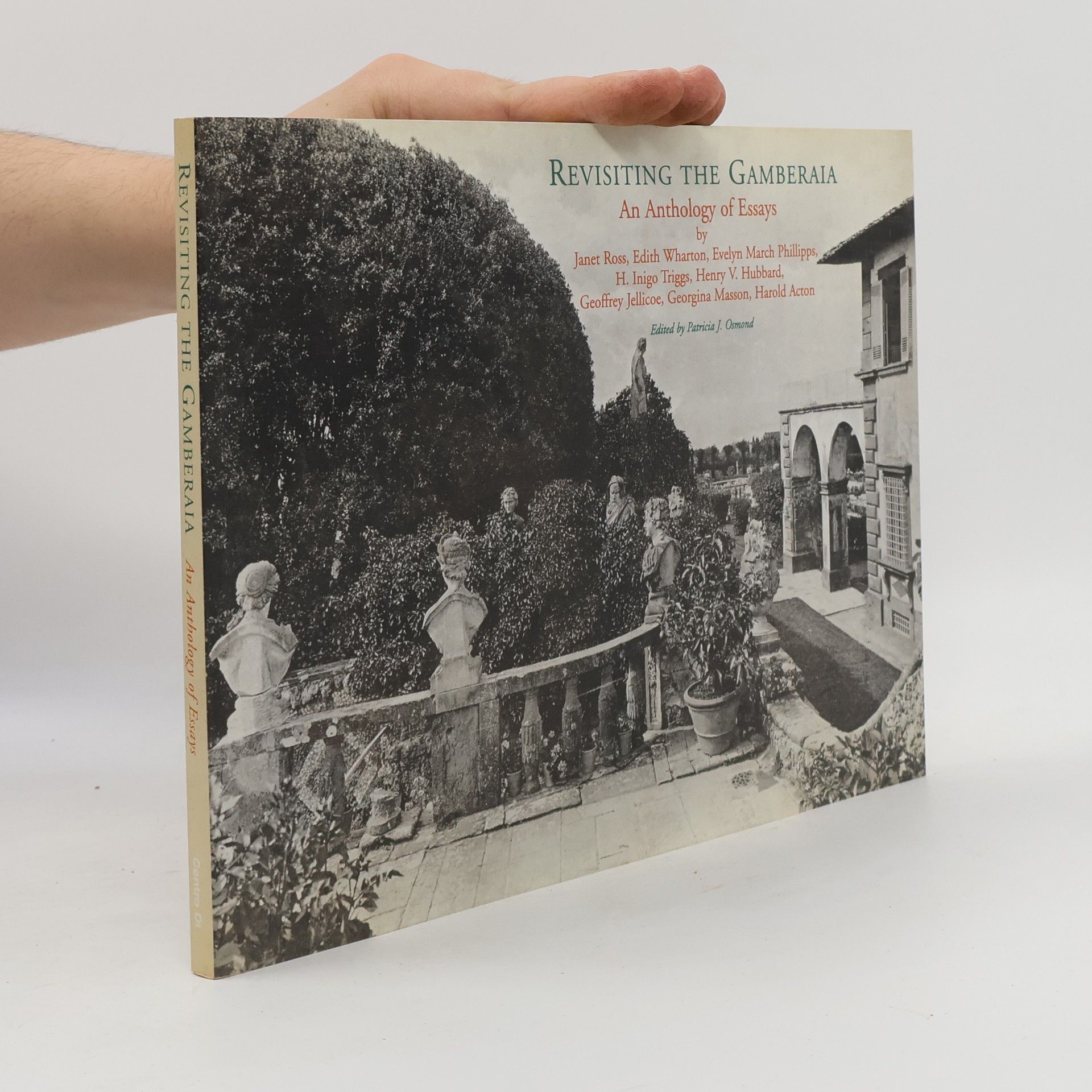 Patricia J. Carewes Revisiting the Gamberaia