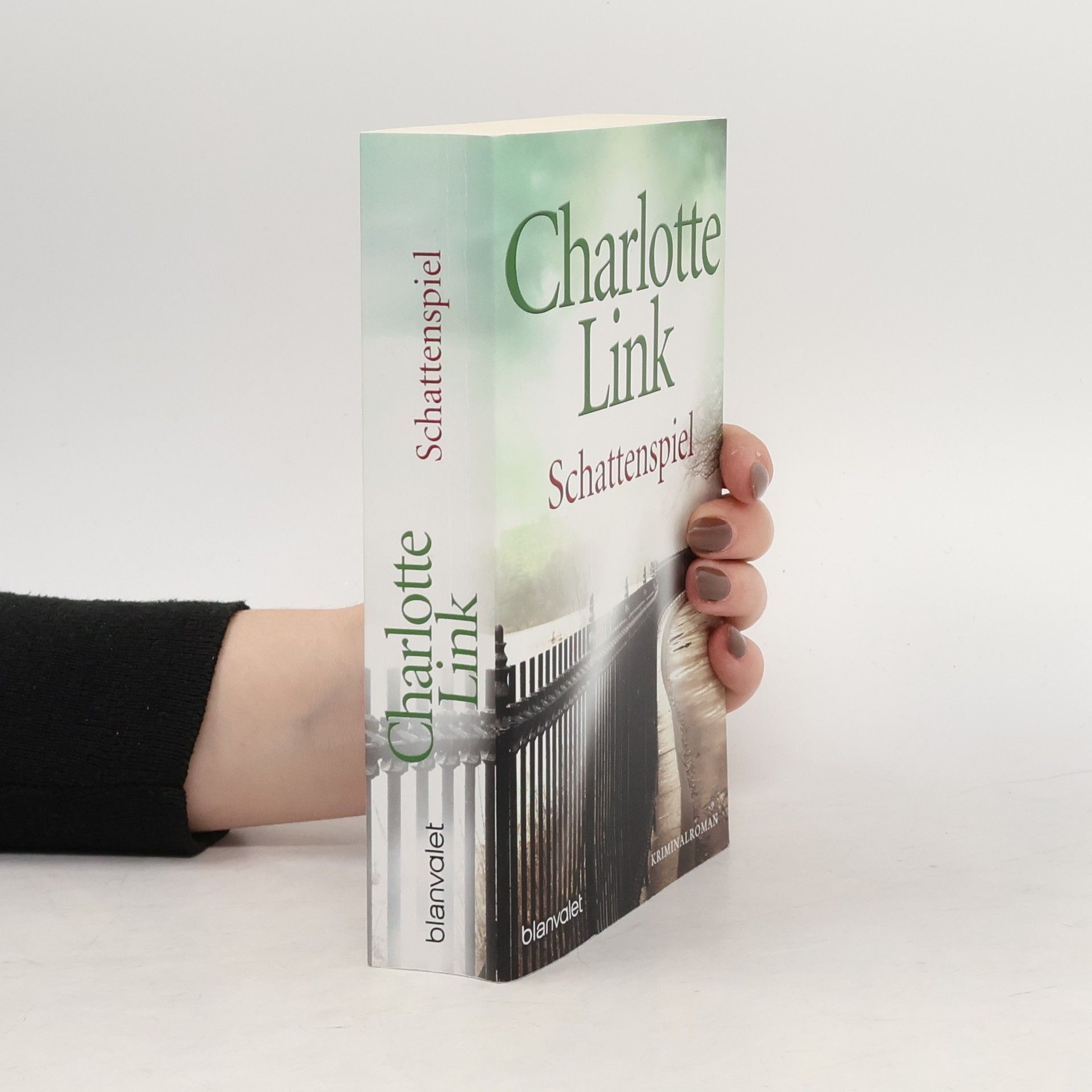 Charlotte Link Schattenspiel