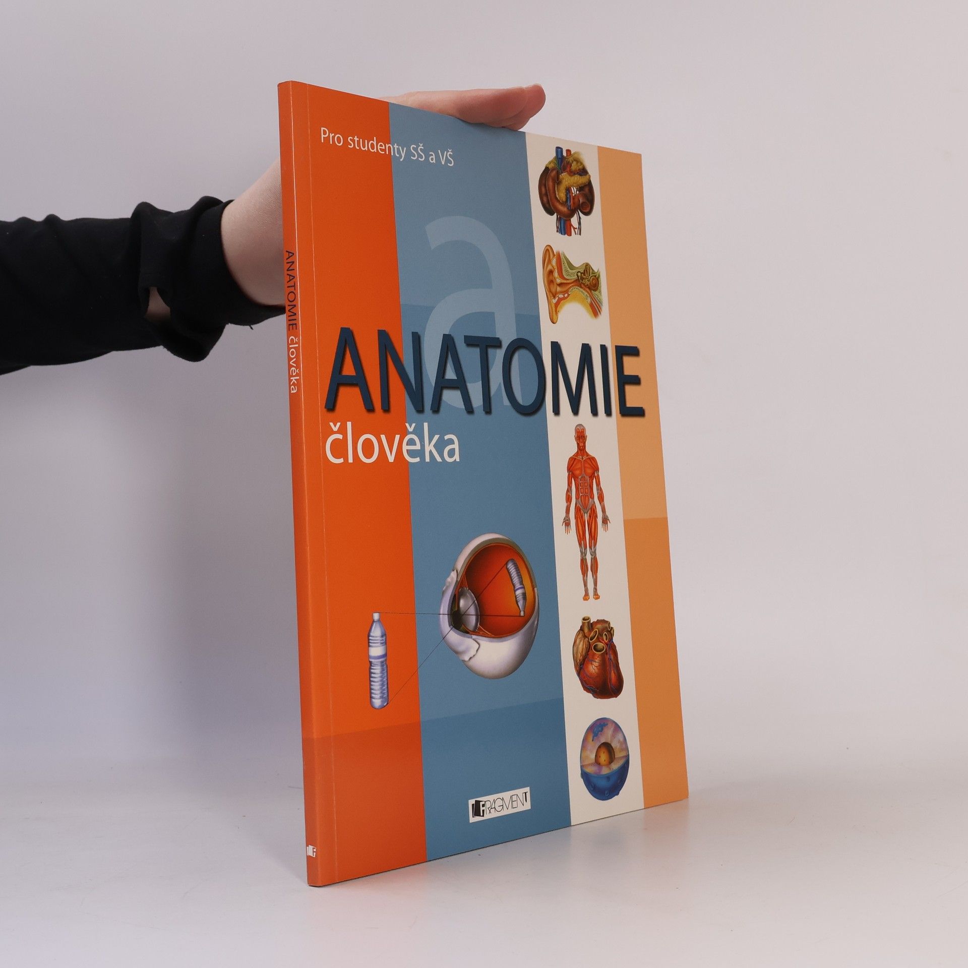 Adolfo Cassan Anatomie člověka