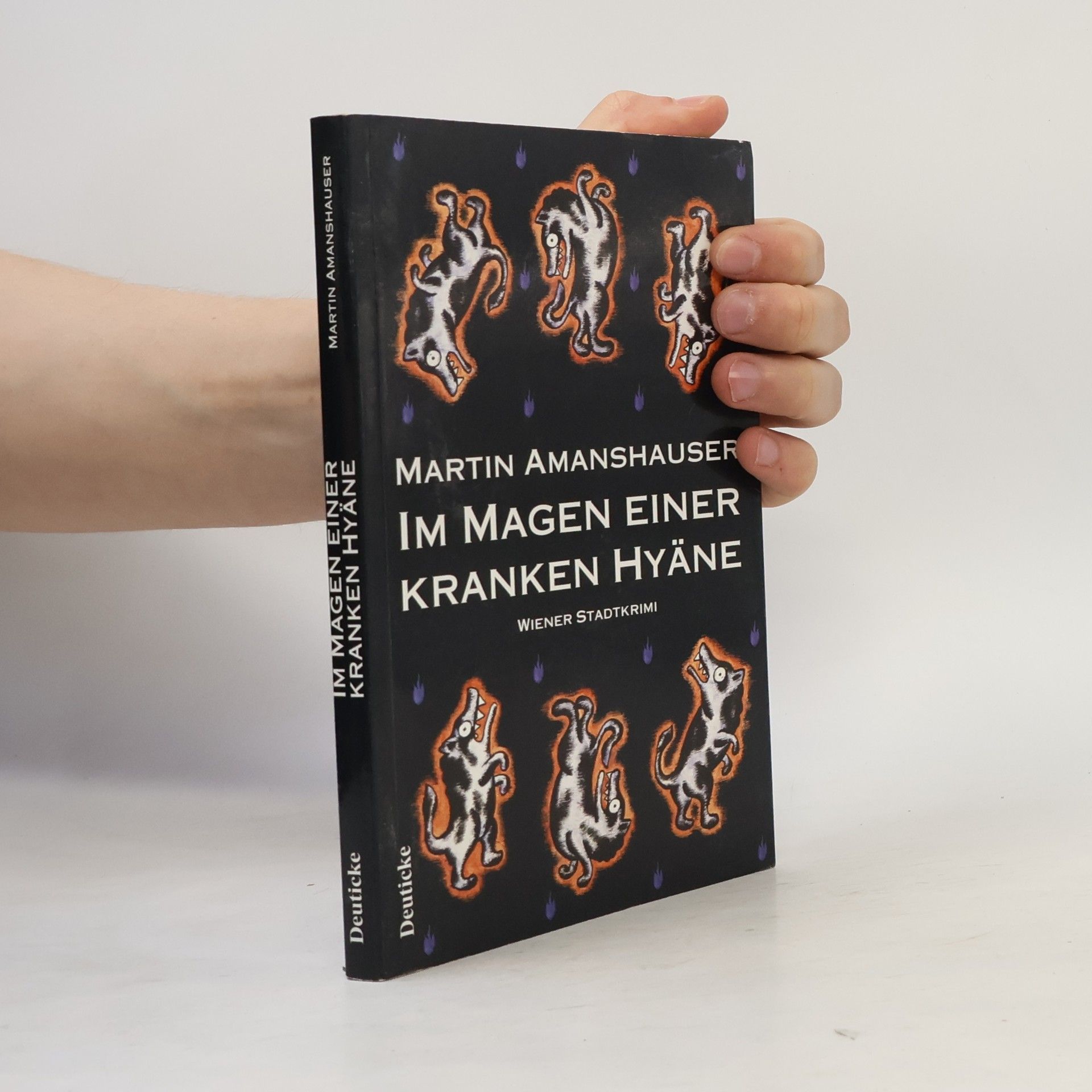 Martin Amanshauser Im Magen einer kranken Hyäne