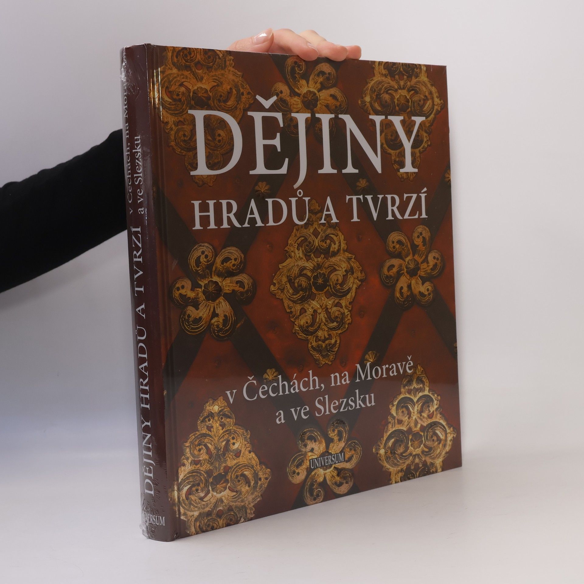 Petr David Dějiny hradů a tvrzí v Čechách, na Moravě a ve Slezsku