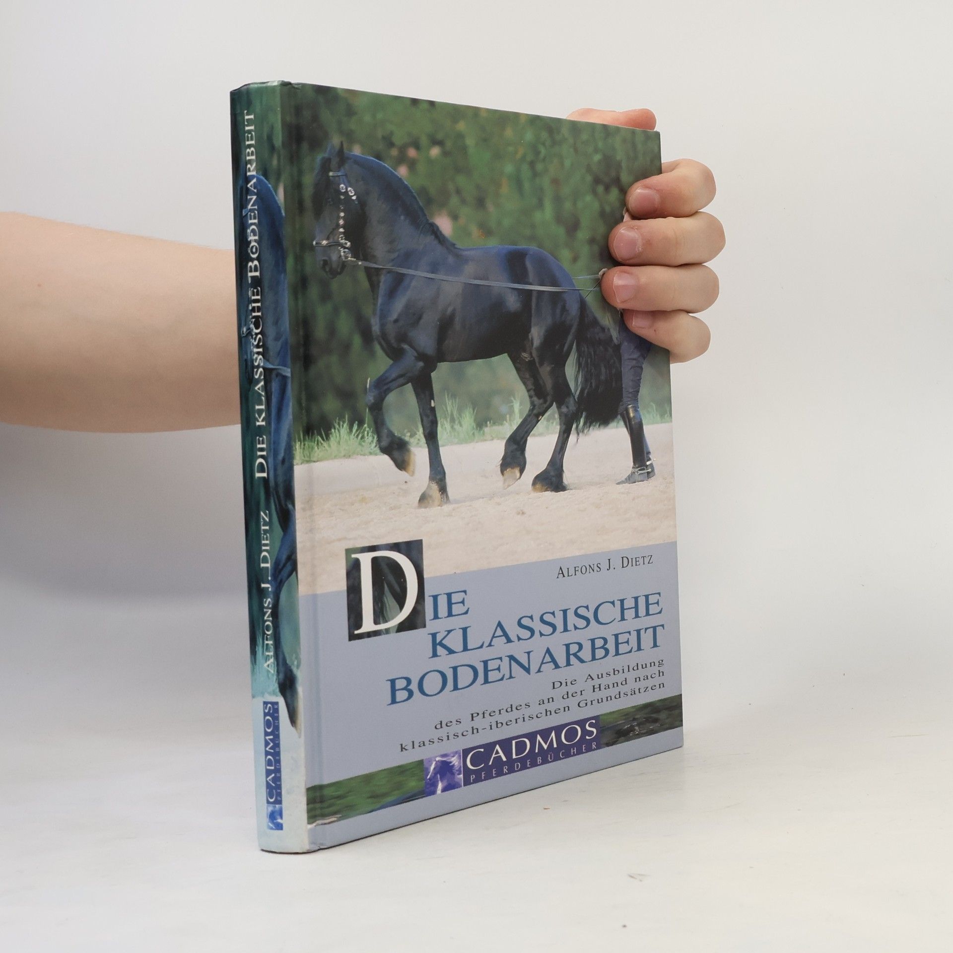 Alfons J. Dietz Die klassische Bodenarbeit