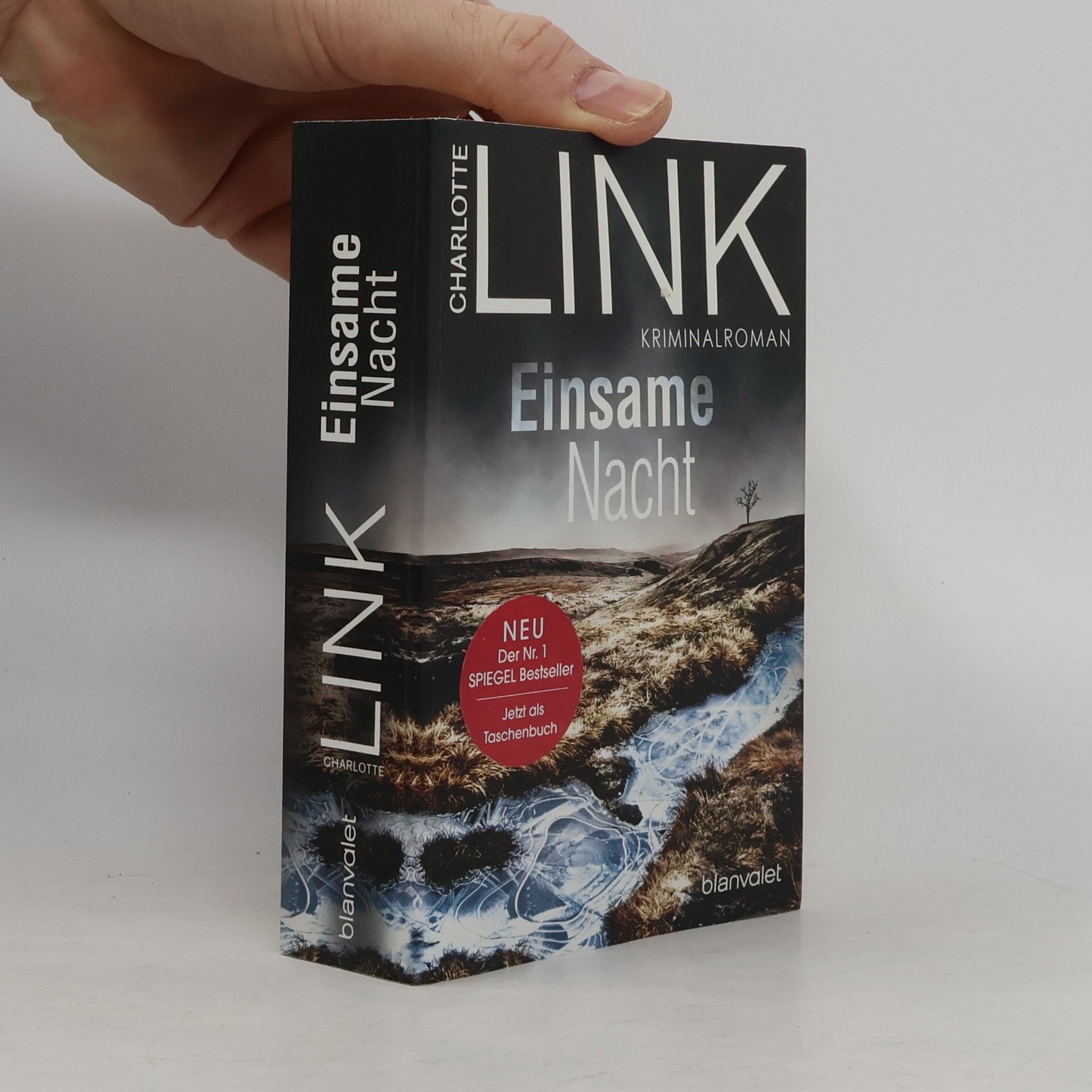 Charlotte Link Einsame Nacht