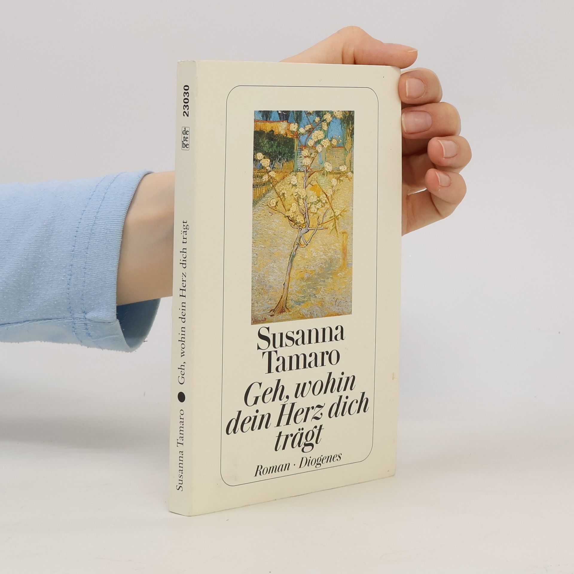 Susanna Tamaro Geh, wohin dein Herz dich trägt