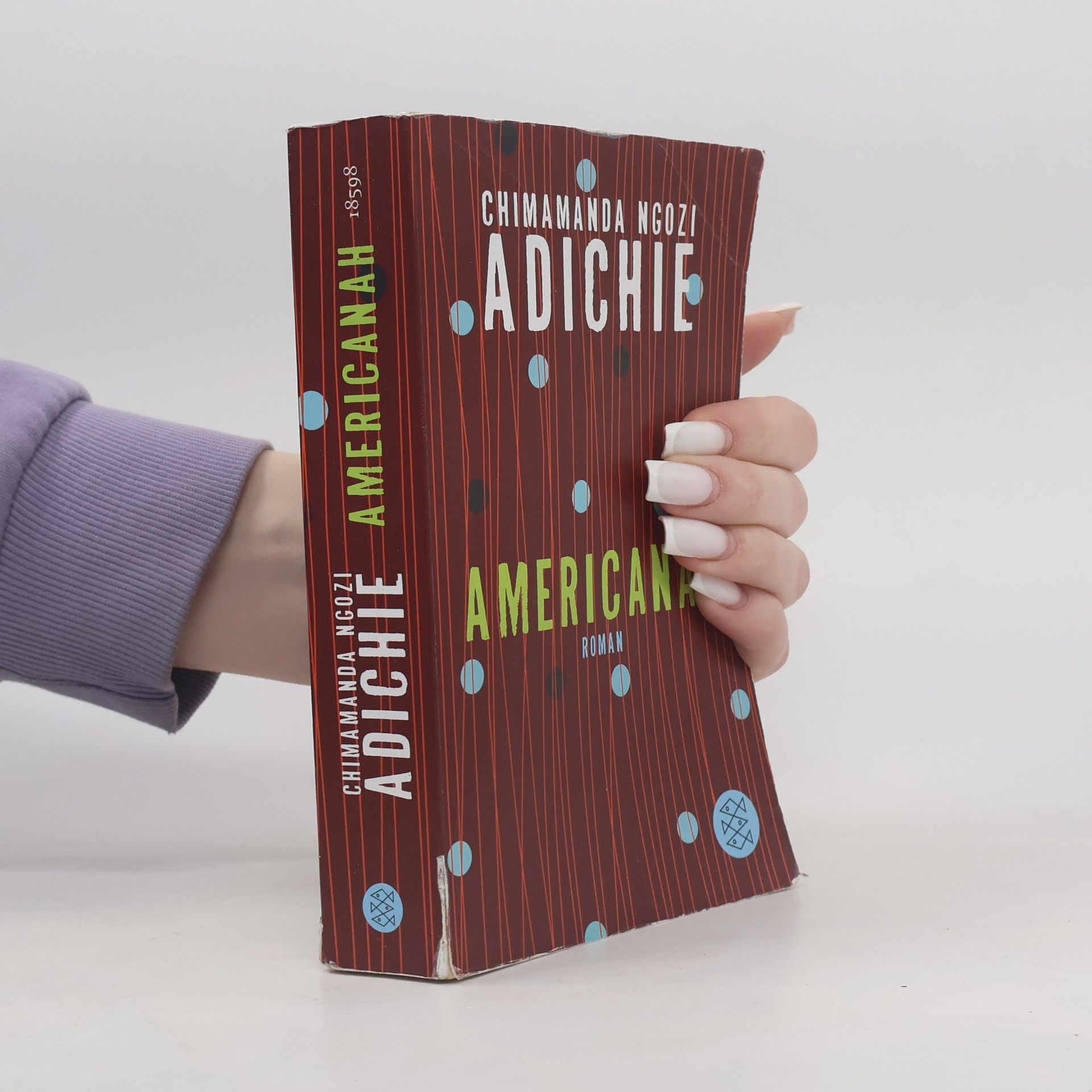 Chimamanda Ngozi Adichieová Americanah