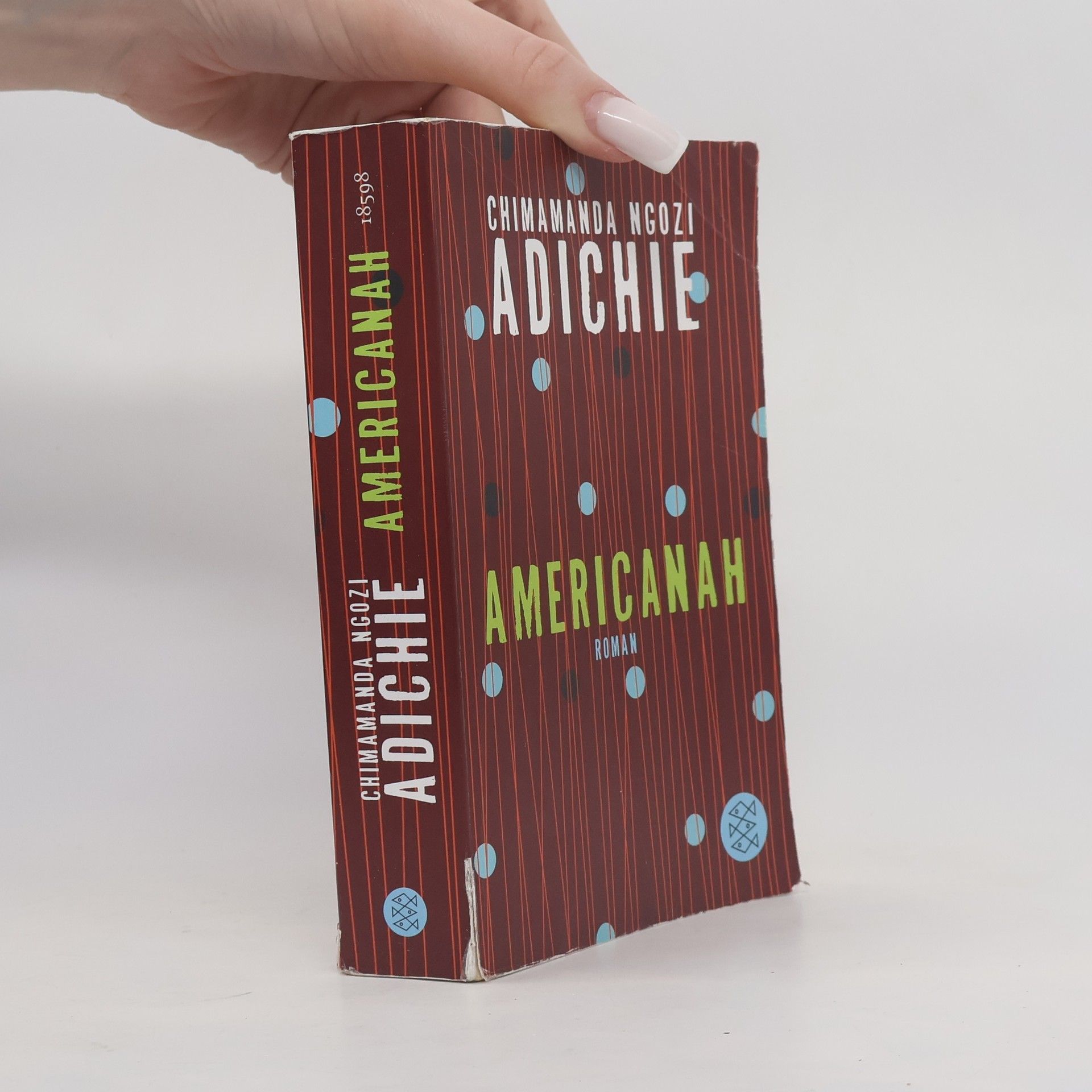 Chimamanda Ngozi Adichieová Americanah