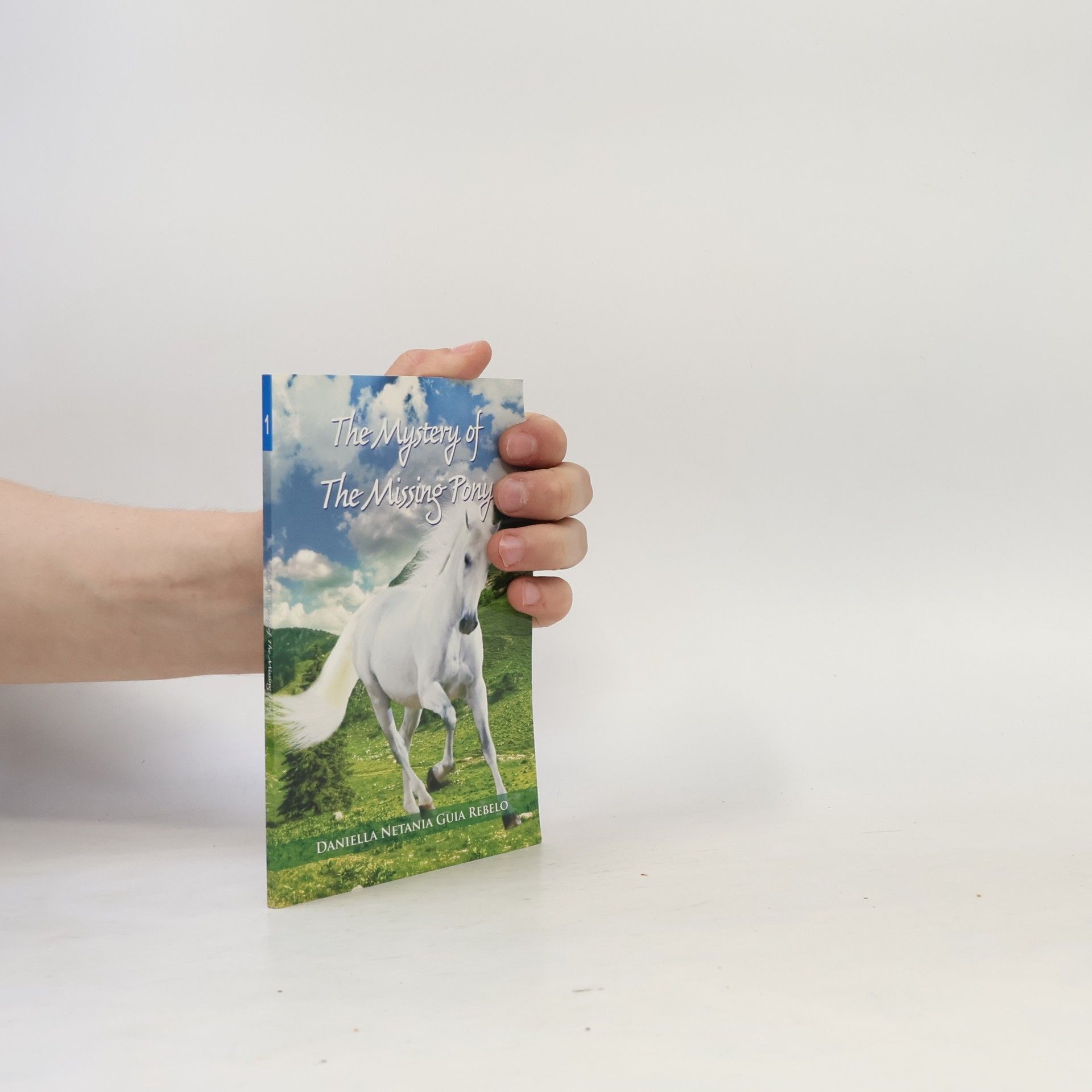 Daniella Netania The Mystery of the Missing Pony