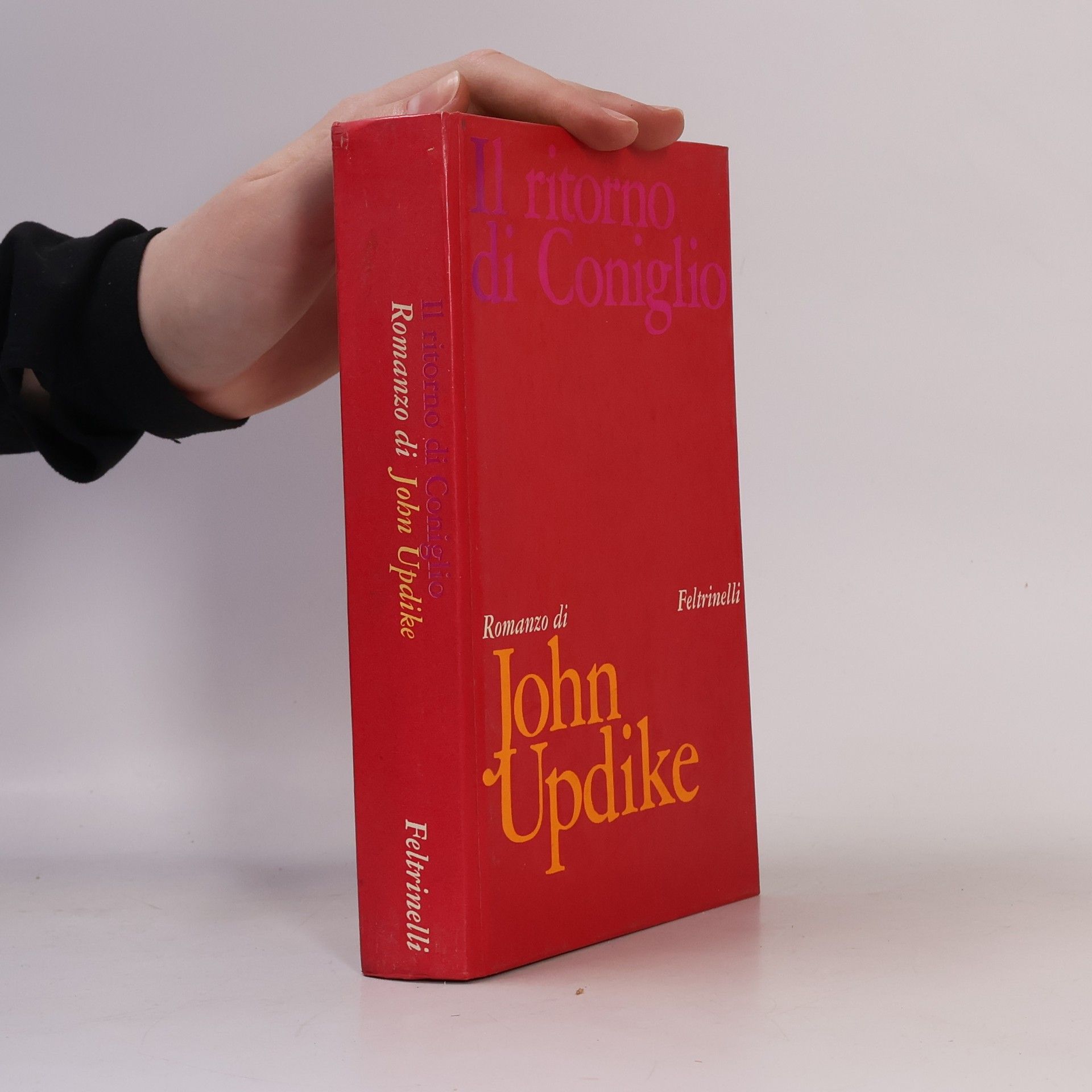 John Updike Il ritorno di coniglio